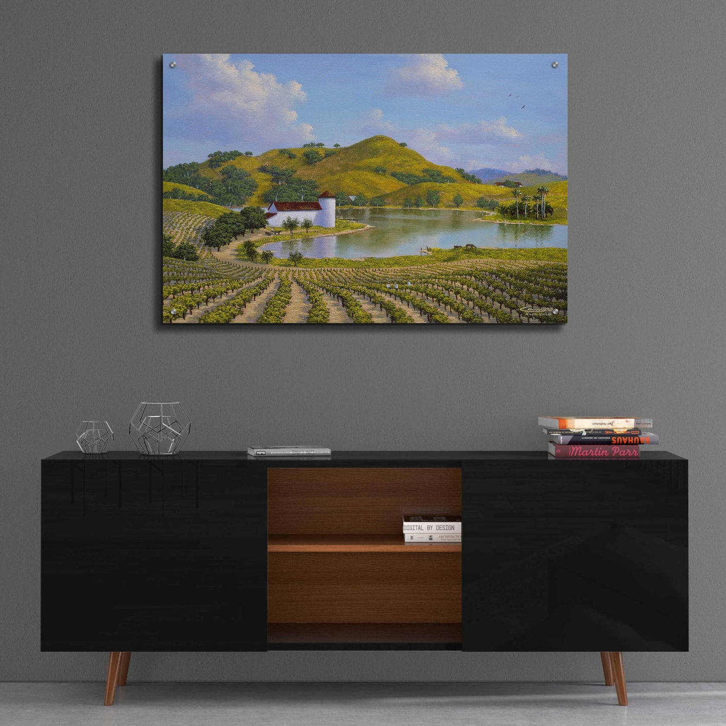 Epic Art 'Napa Valley' by Eduardo Camoes, Acrylic Glass Wall Art,36x24