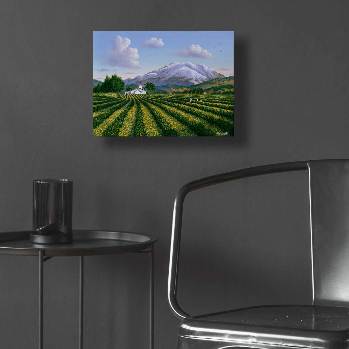 Epic Art 'Mount Sta Helena, Napa Valley' by Eduardo Camoes, Acrylic Glass Wall Art,16x12