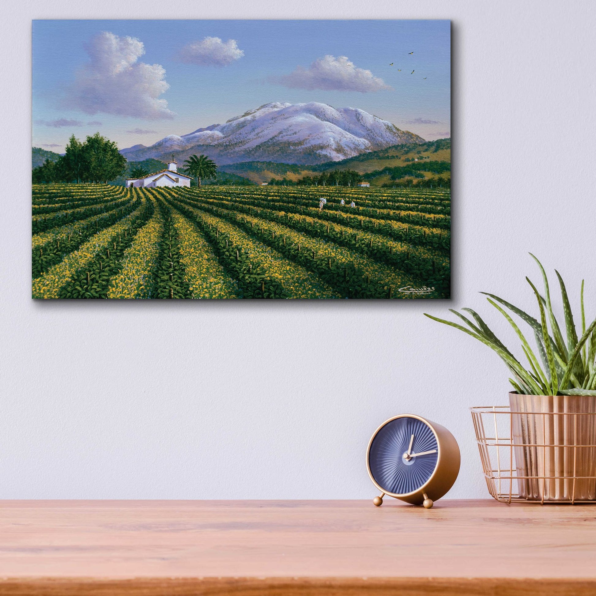 Epic Art 'Mount Sta Helena, Napa Valley' by Eduardo Camoes, Acrylic Glass Wall Art,16x12