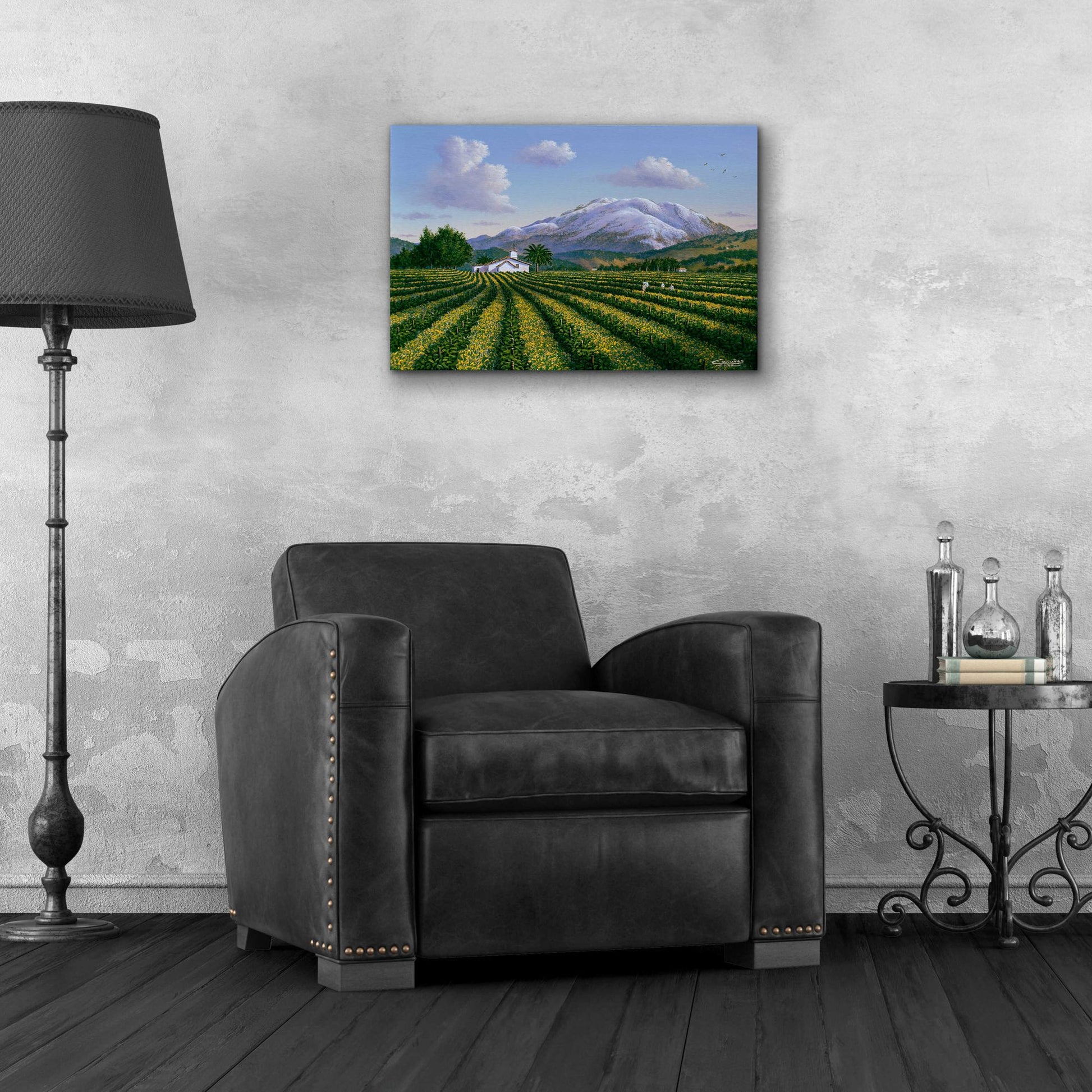 Epic Art 'Mount Sta Helena, Napa Valley' by Eduardo Camoes, Acrylic Glass Wall Art,24x16