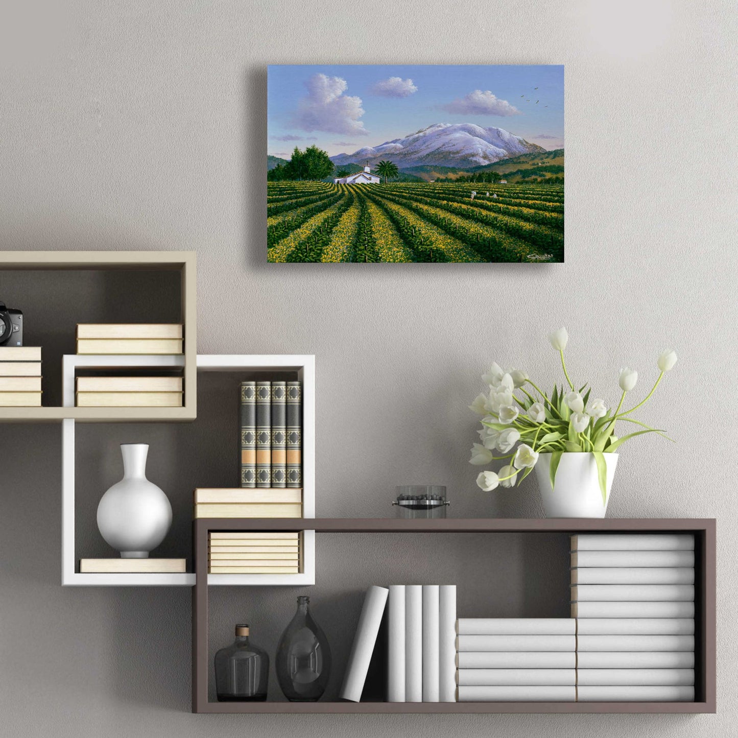 Epic Art 'Mount Sta Helena, Napa Valley' by Eduardo Camoes, Acrylic Glass Wall Art,24x16