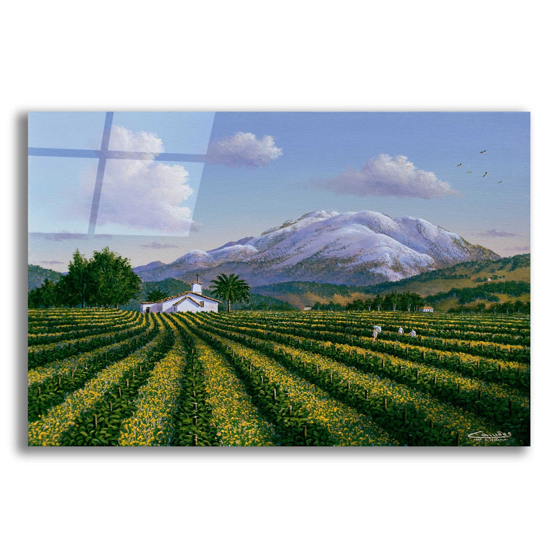 Epic Art 'Mount Sta Helena, Napa Valley' by Eduardo Camoes, Acrylic Glass Wall Art,24x16