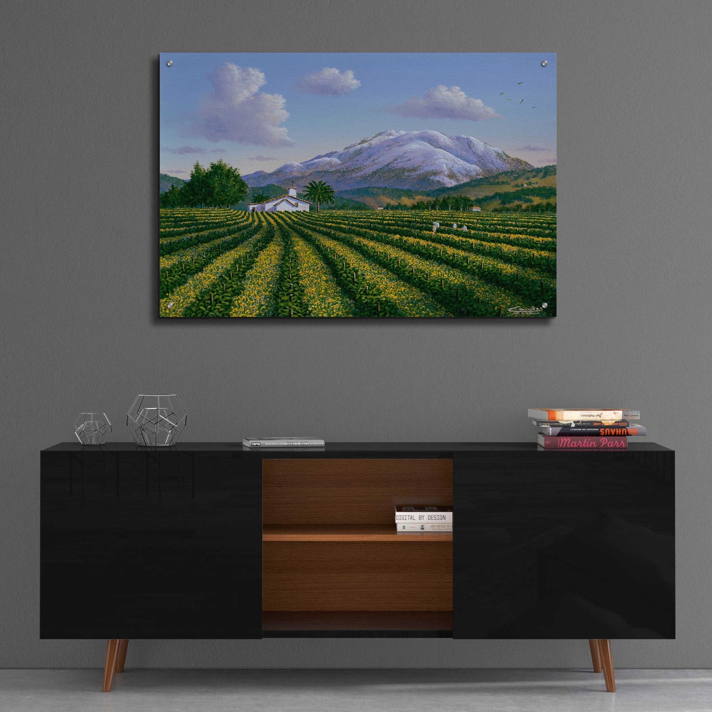 Epic Art 'Mount Sta Helena, Napa Valley' by Eduardo Camoes, Acrylic Glass Wall Art,36x24