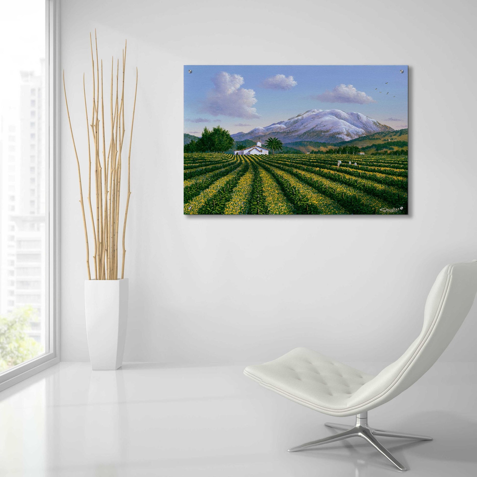 Epic Art 'Mount Sta Helena, Napa Valley' by Eduardo Camoes, Acrylic Glass Wall Art,36x24