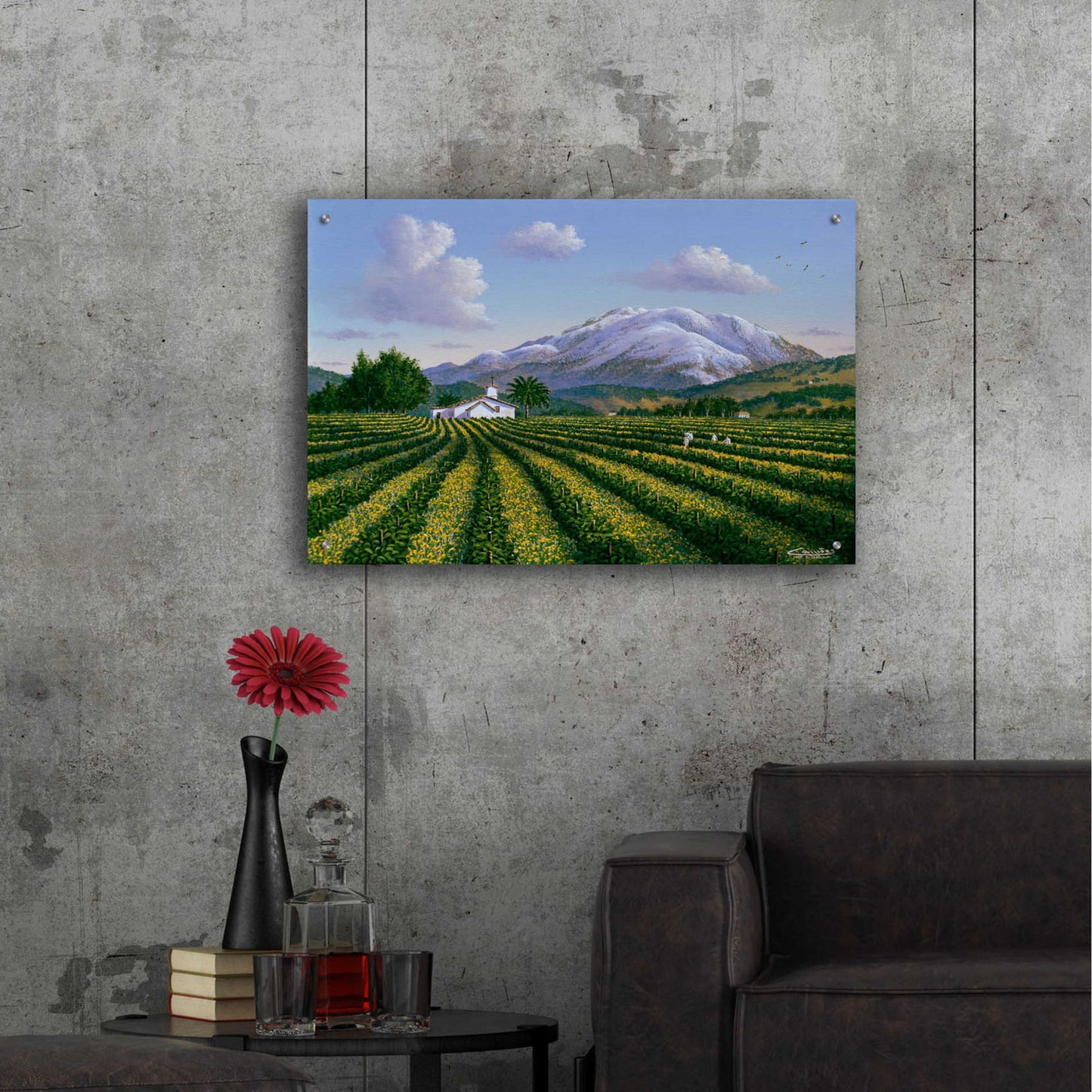 Epic Art 'Mount Sta Helena, Napa Valley' by Eduardo Camoes, Acrylic Glass Wall Art,36x24