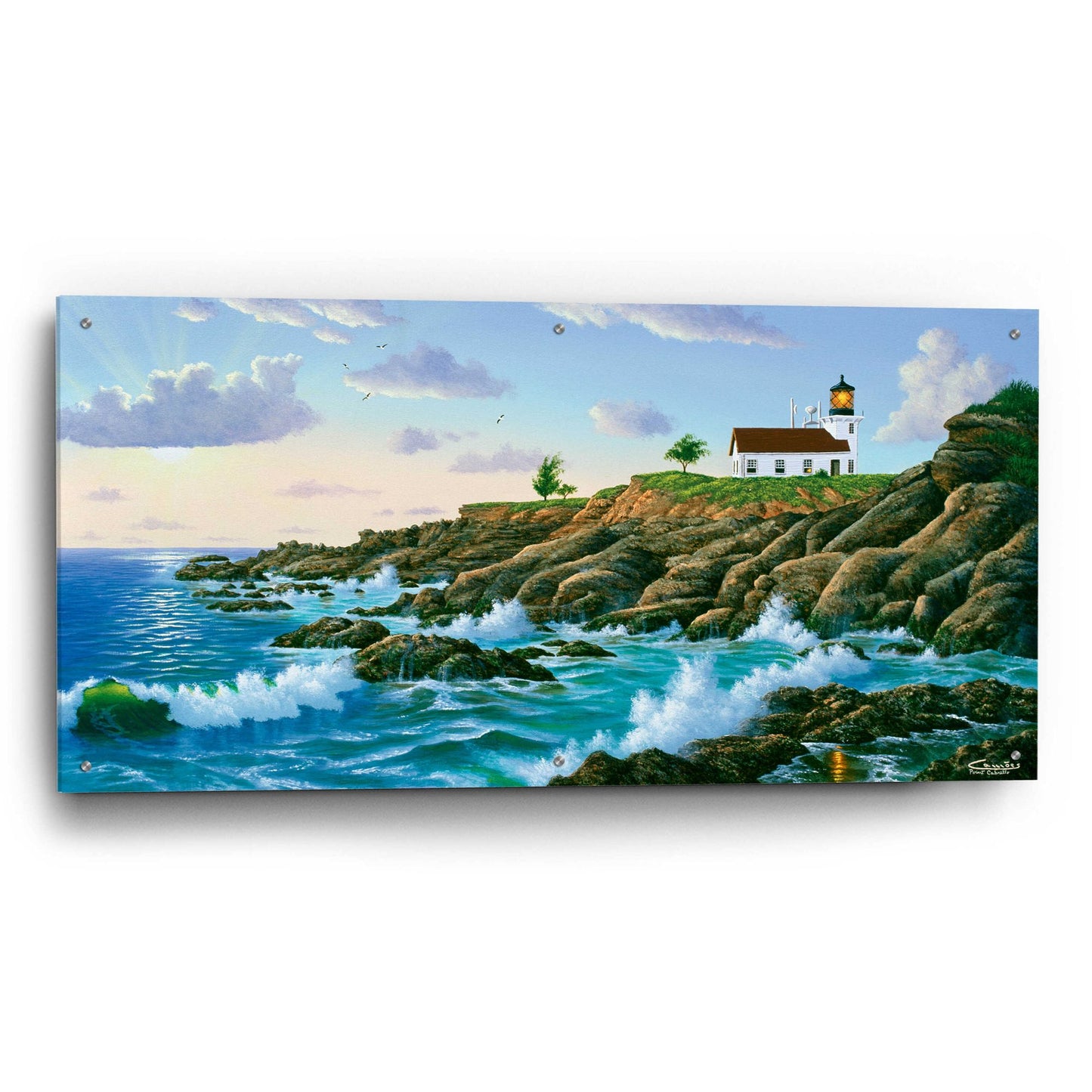 Epic Art 'Point Cabrillo, CA' by Eduardo Camoes, Acrylic Glass Wall Art,48x24