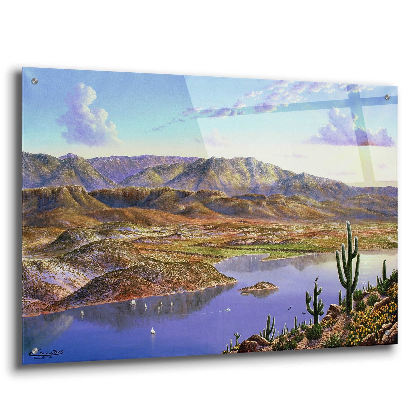 Epic Art 'Roosevelt Lake, AZ' by Eduardo Camoes, Acrylic Glass Wall Art,36x24