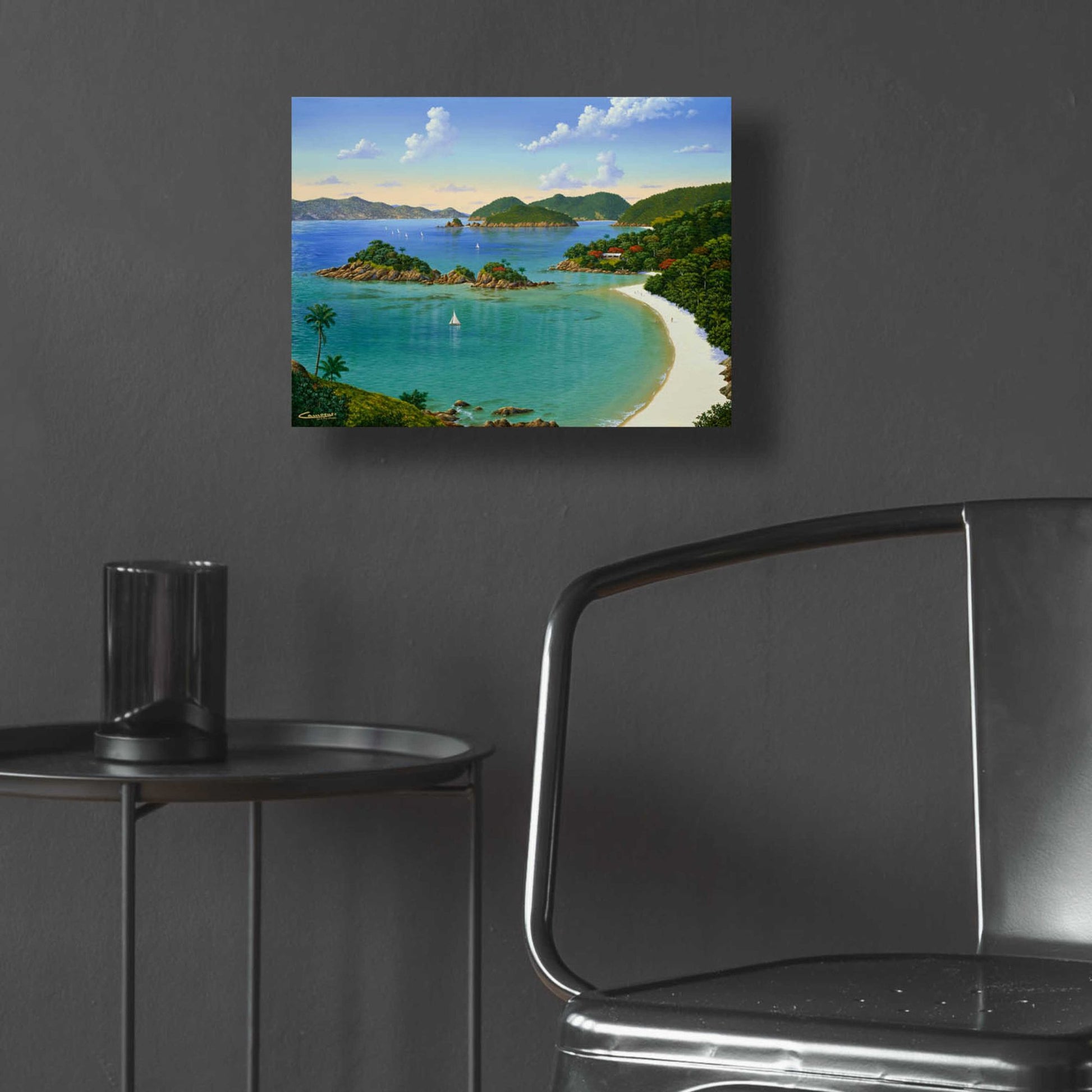 Epic Art 'Trunk Bay, Virgin Islands' by Eduardo Camoes, Acrylic Glass Wall Art,16x12