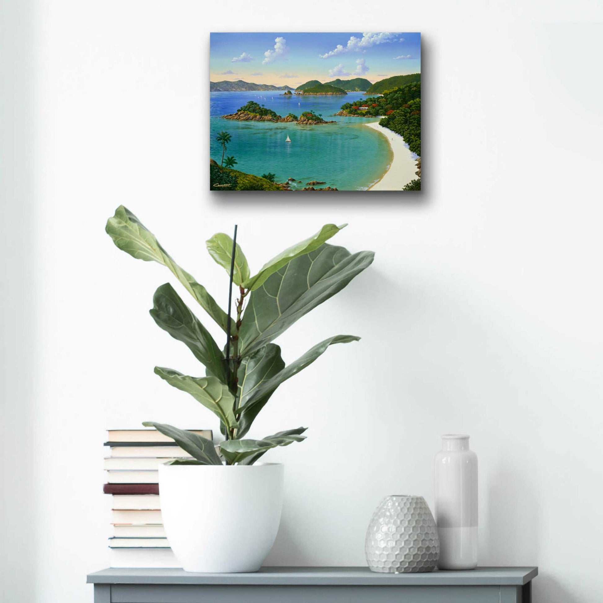 Epic Art 'Trunk Bay, Virgin Islands' by Eduardo Camoes, Acrylic Glass Wall Art,16x12