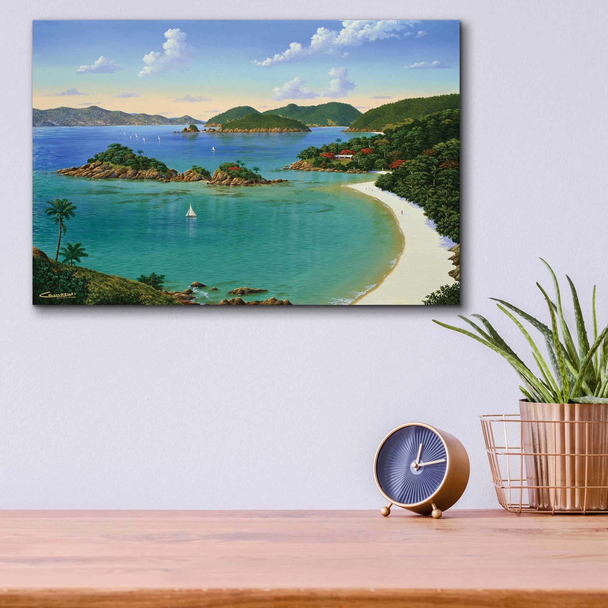 Epic Art 'Trunk Bay, Virgin Islands' by Eduardo Camoes, Acrylic Glass Wall Art,16x12