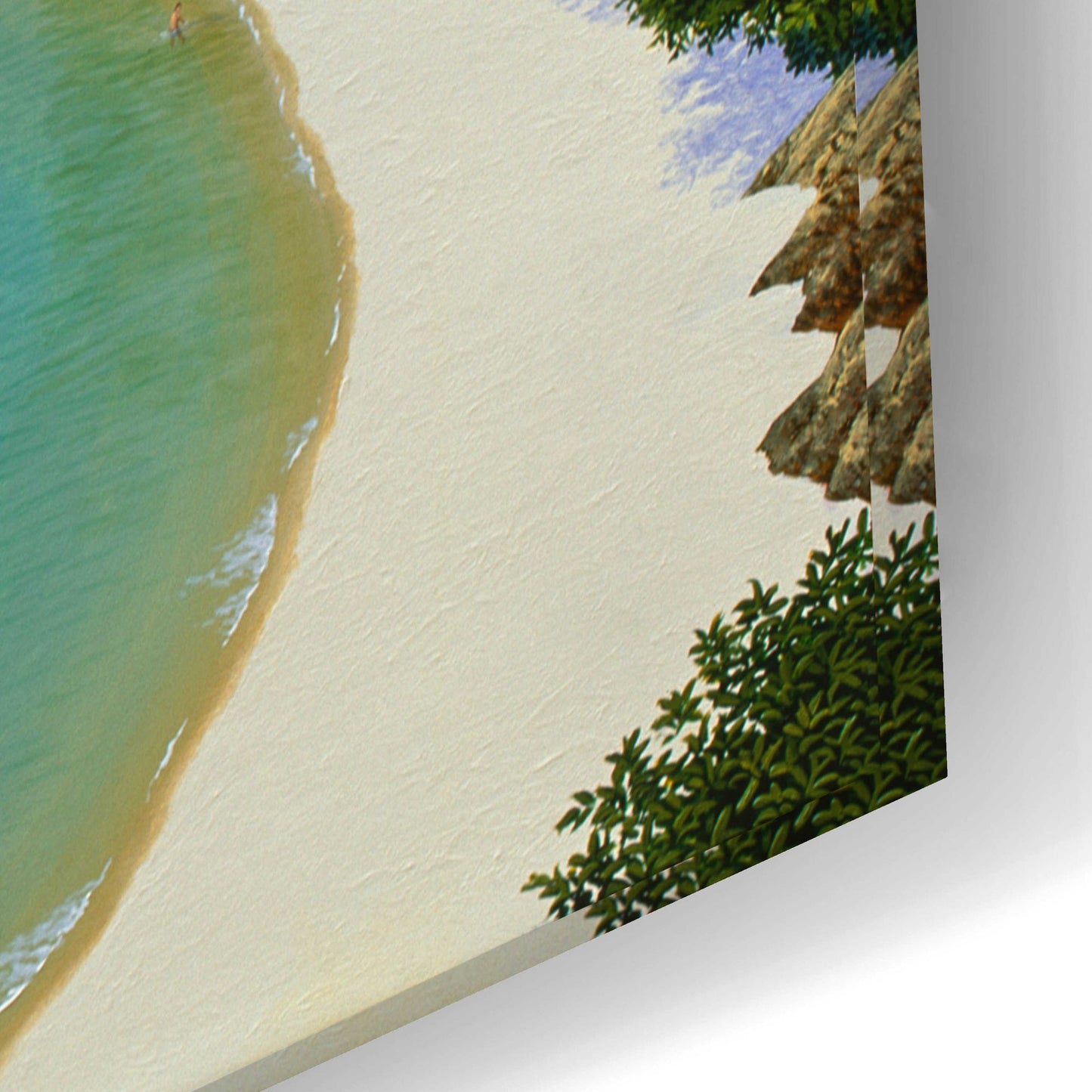 Epic Art 'Trunk Bay, Virgin Islands' by Eduardo Camoes, Acrylic Glass Wall Art,24x16