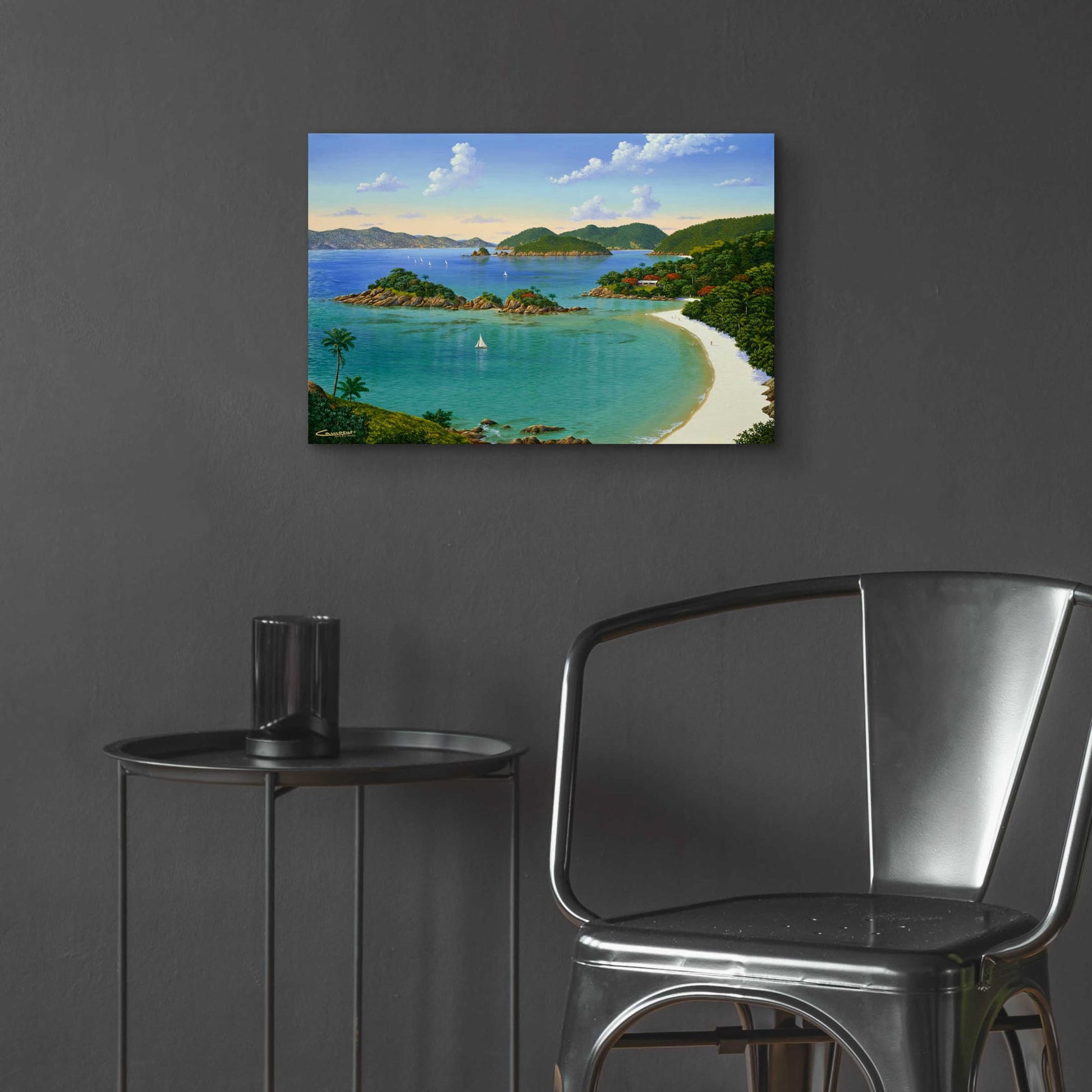 Epic Art 'Trunk Bay, Virgin Islands' by Eduardo Camoes, Acrylic Glass Wall Art,24x16