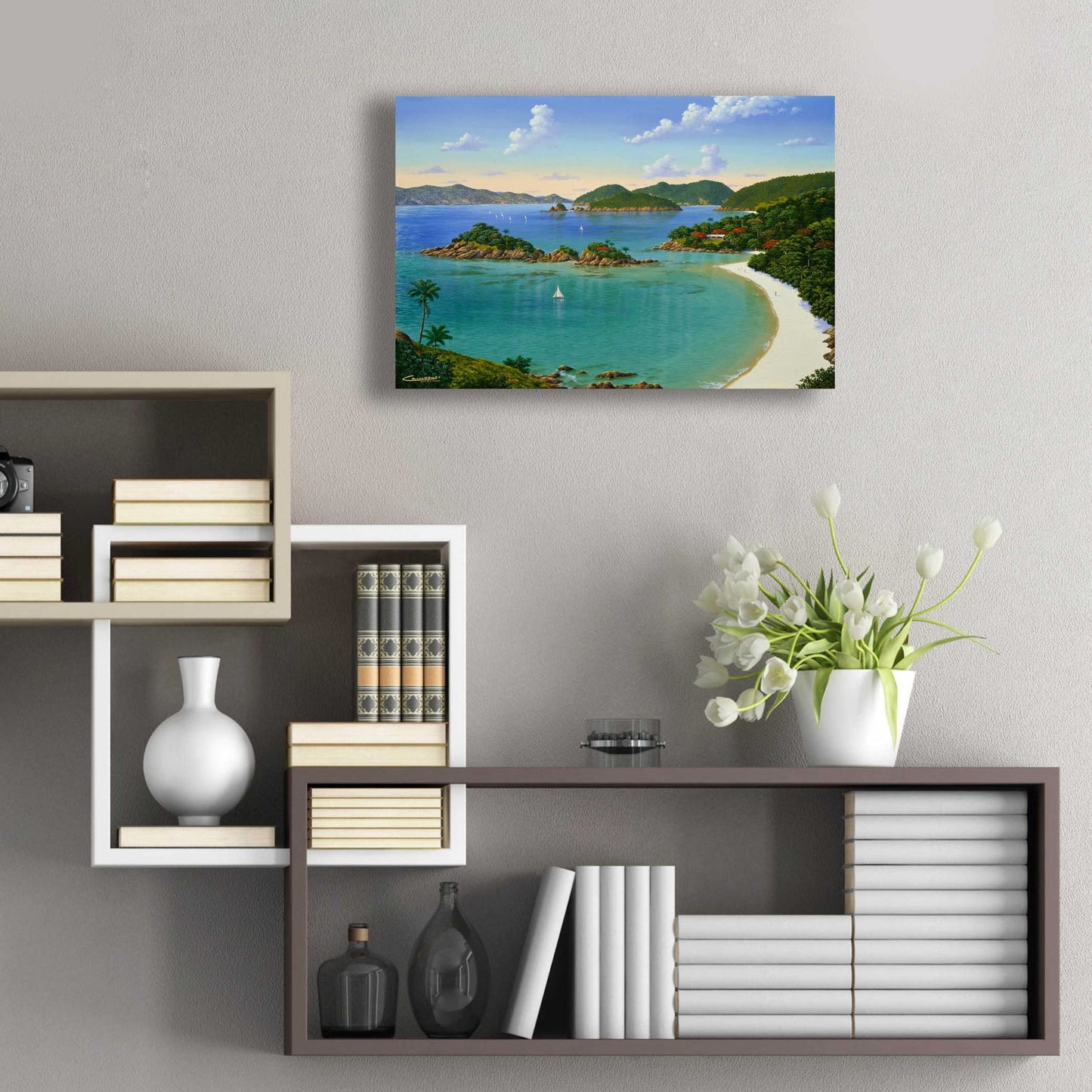 Epic Art 'Trunk Bay, Virgin Islands' by Eduardo Camoes, Acrylic Glass Wall Art,24x16