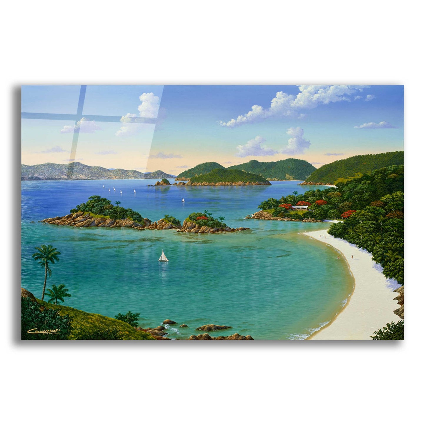 Epic Art 'Trunk Bay, Virgin Islands' by Eduardo Camoes, Acrylic Glass Wall Art,24x16