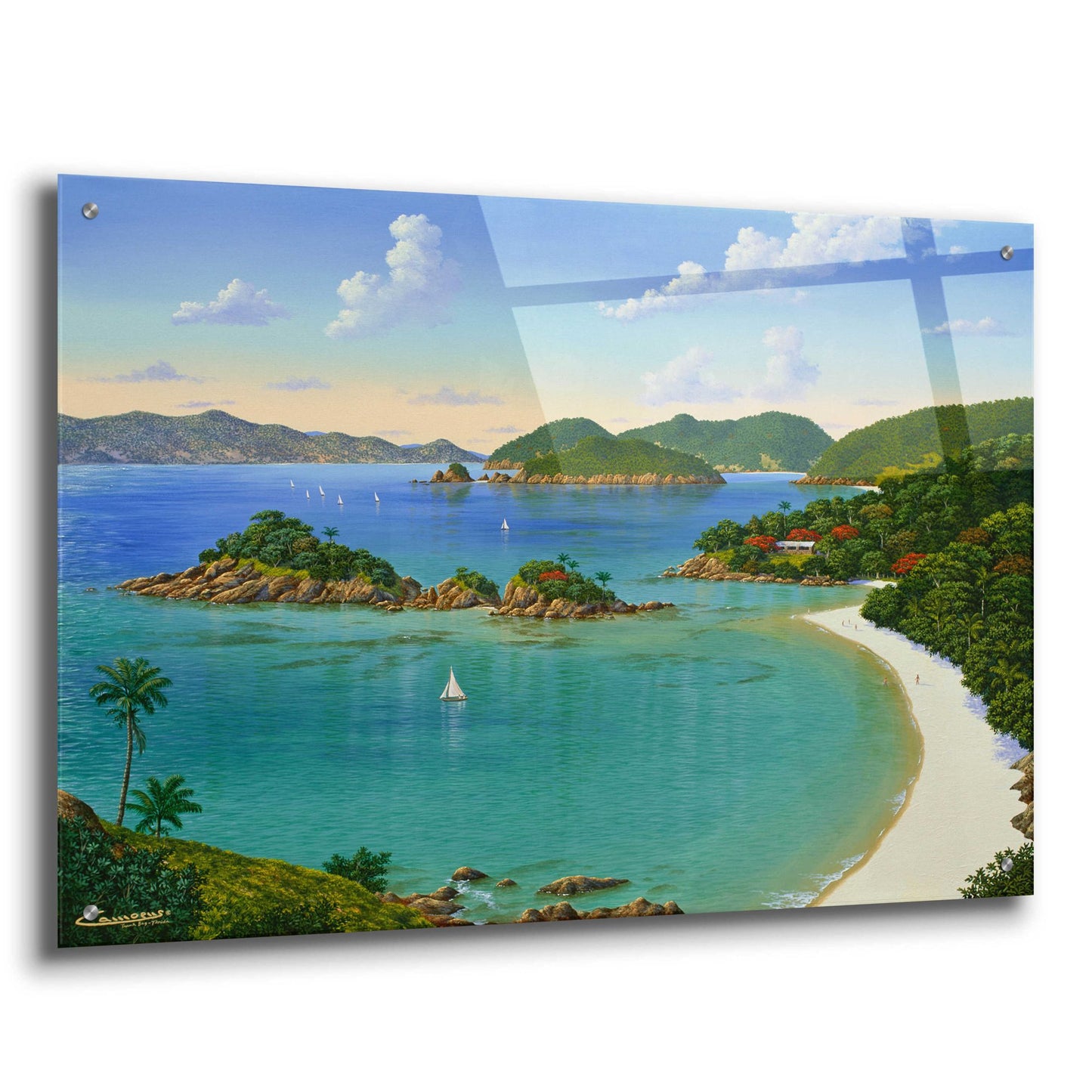 Epic Art 'Trunk Bay, Virgin Islands' by Eduardo Camoes, Acrylic Glass Wall Art,36x24