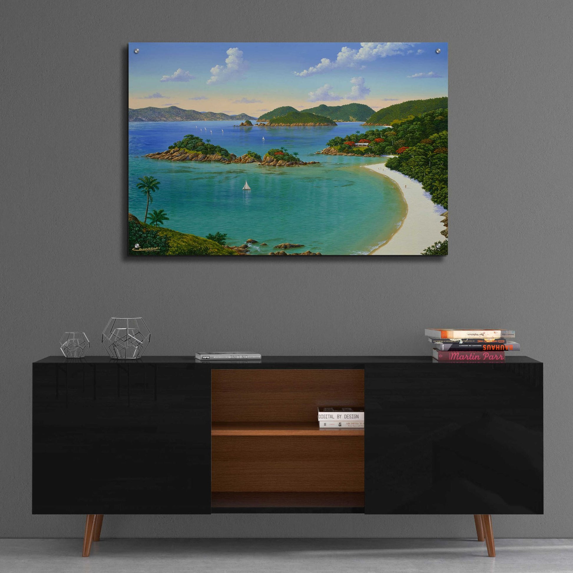 Epic Art 'Trunk Bay, Virgin Islands' by Eduardo Camoes, Acrylic Glass Wall Art,36x24