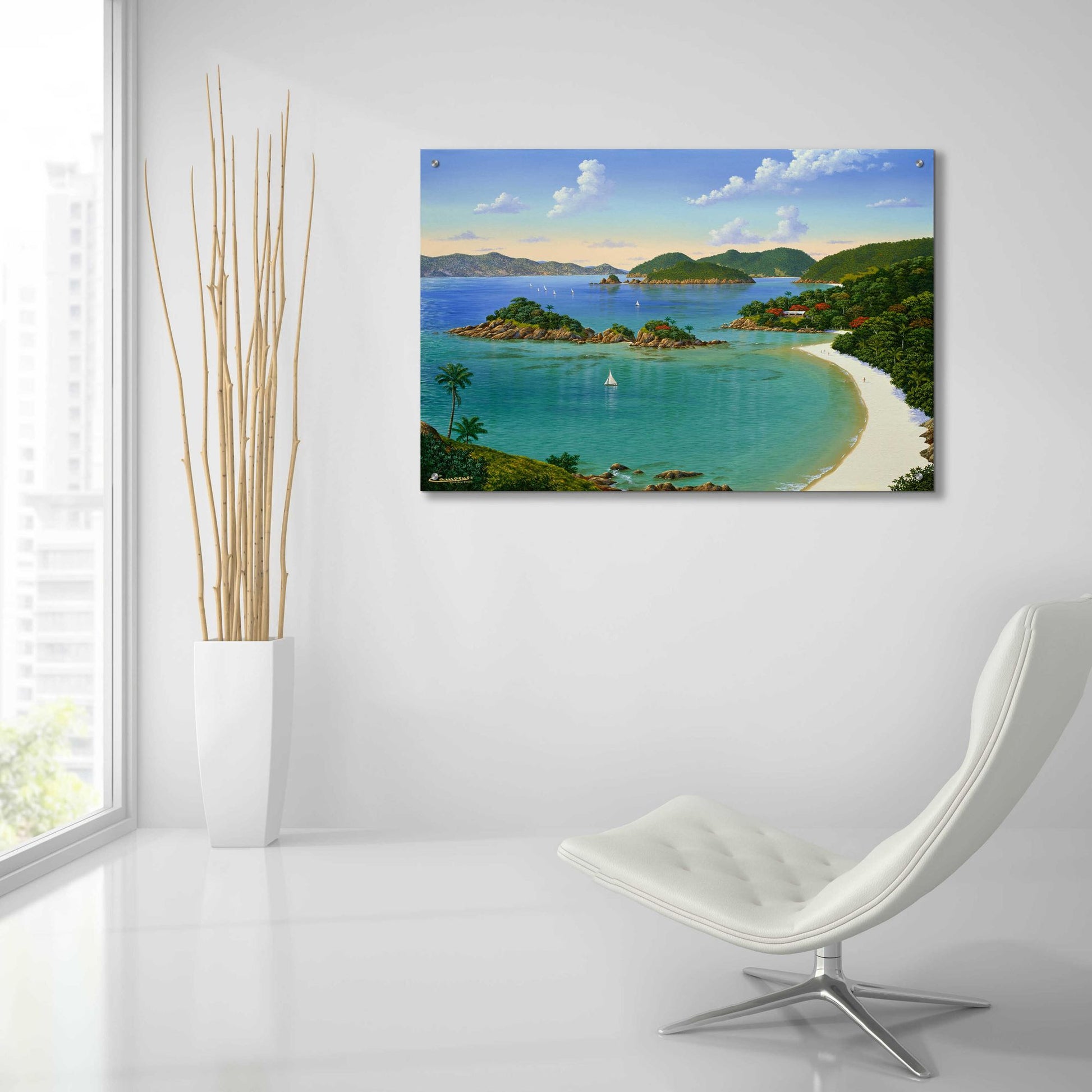 Epic Art 'Trunk Bay, Virgin Islands' by Eduardo Camoes, Acrylic Glass Wall Art,36x24