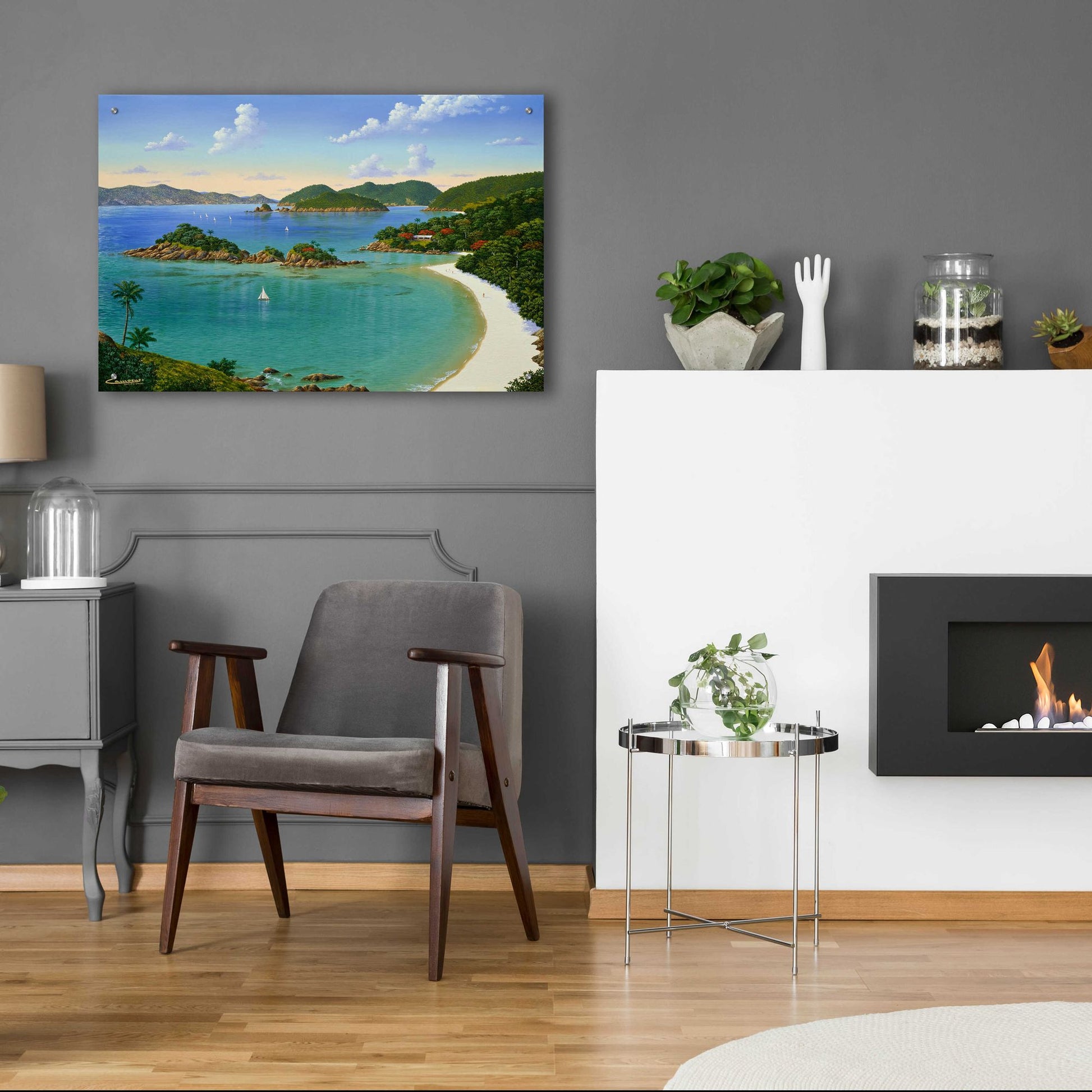 Epic Art 'Trunk Bay, Virgin Islands' by Eduardo Camoes, Acrylic Glass Wall Art,36x24