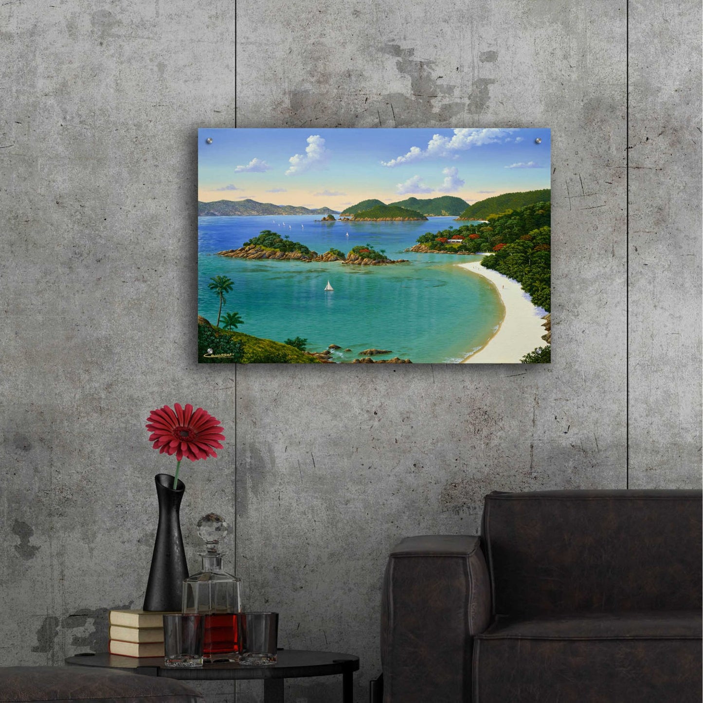 Epic Art 'Trunk Bay, Virgin Islands' by Eduardo Camoes, Acrylic Glass Wall Art,36x24