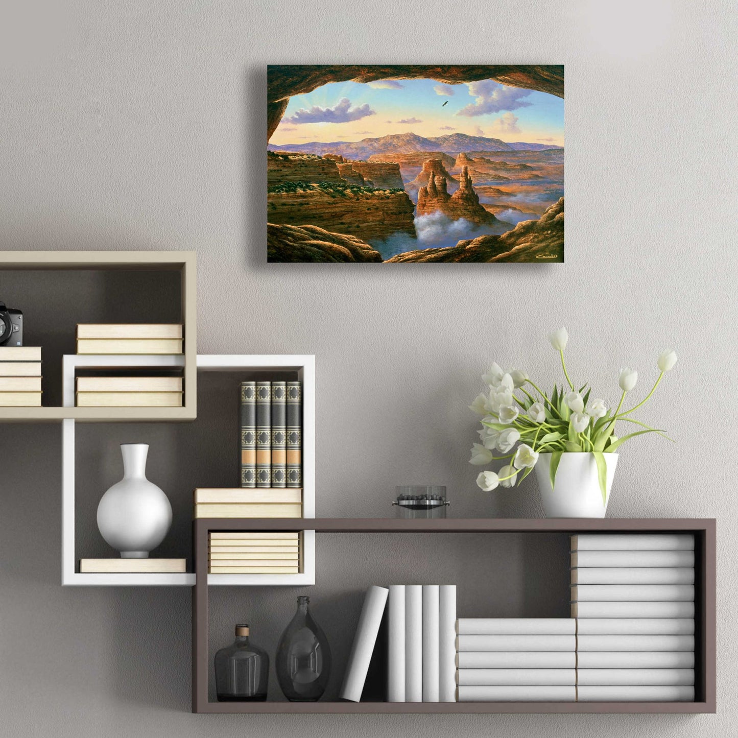 Epic Art 'Island In The Sky, Canyonlands' by Eduardo Camoes, Acrylic Glass Wall Art,24x16