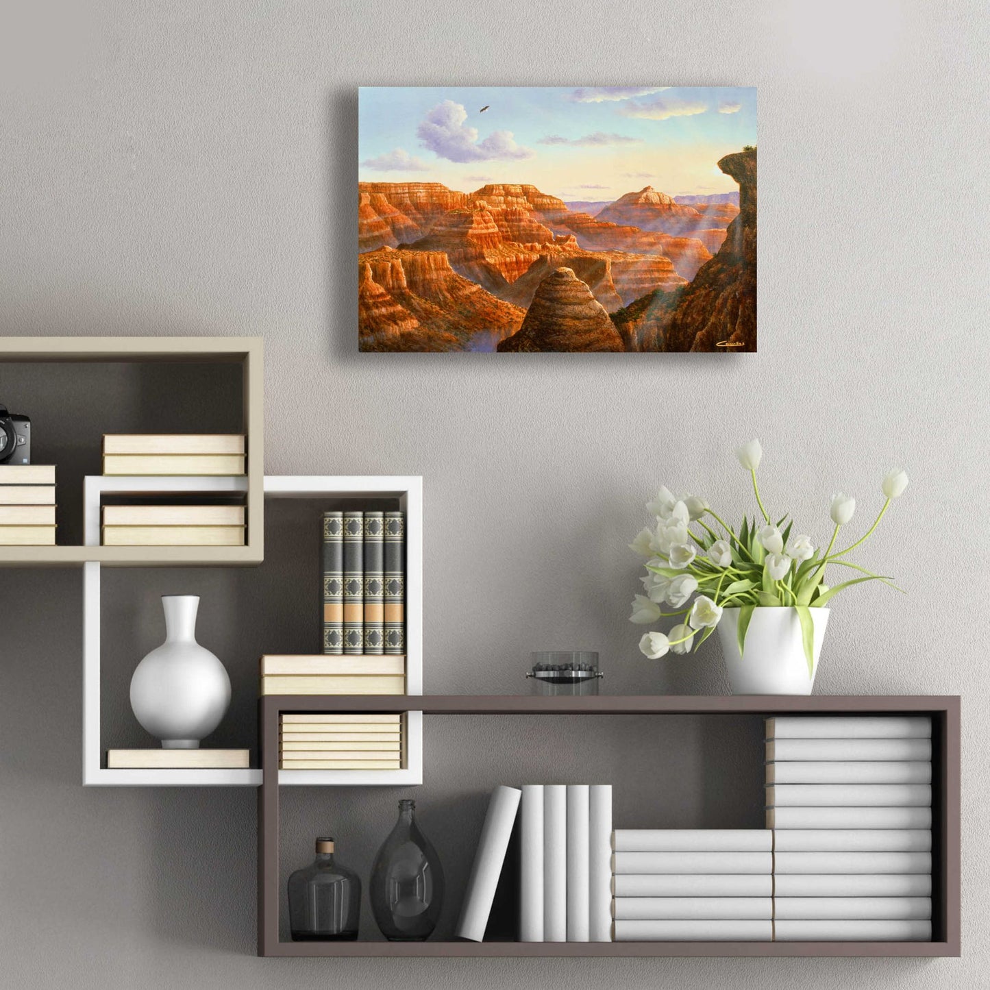 Epic Art 'Grand Canyon' by Eduardo Camoes, Acrylic Glass Wall Art,24x16