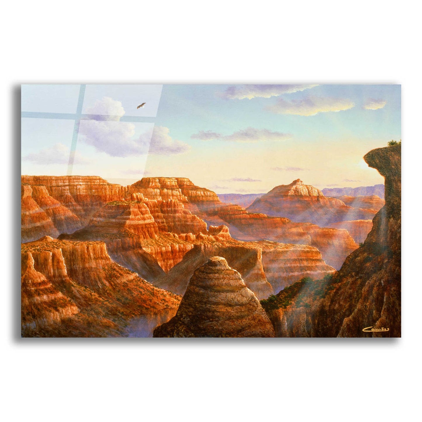 Epic Art 'Grand Canyon' by Eduardo Camoes, Acrylic Glass Wall Art,24x16