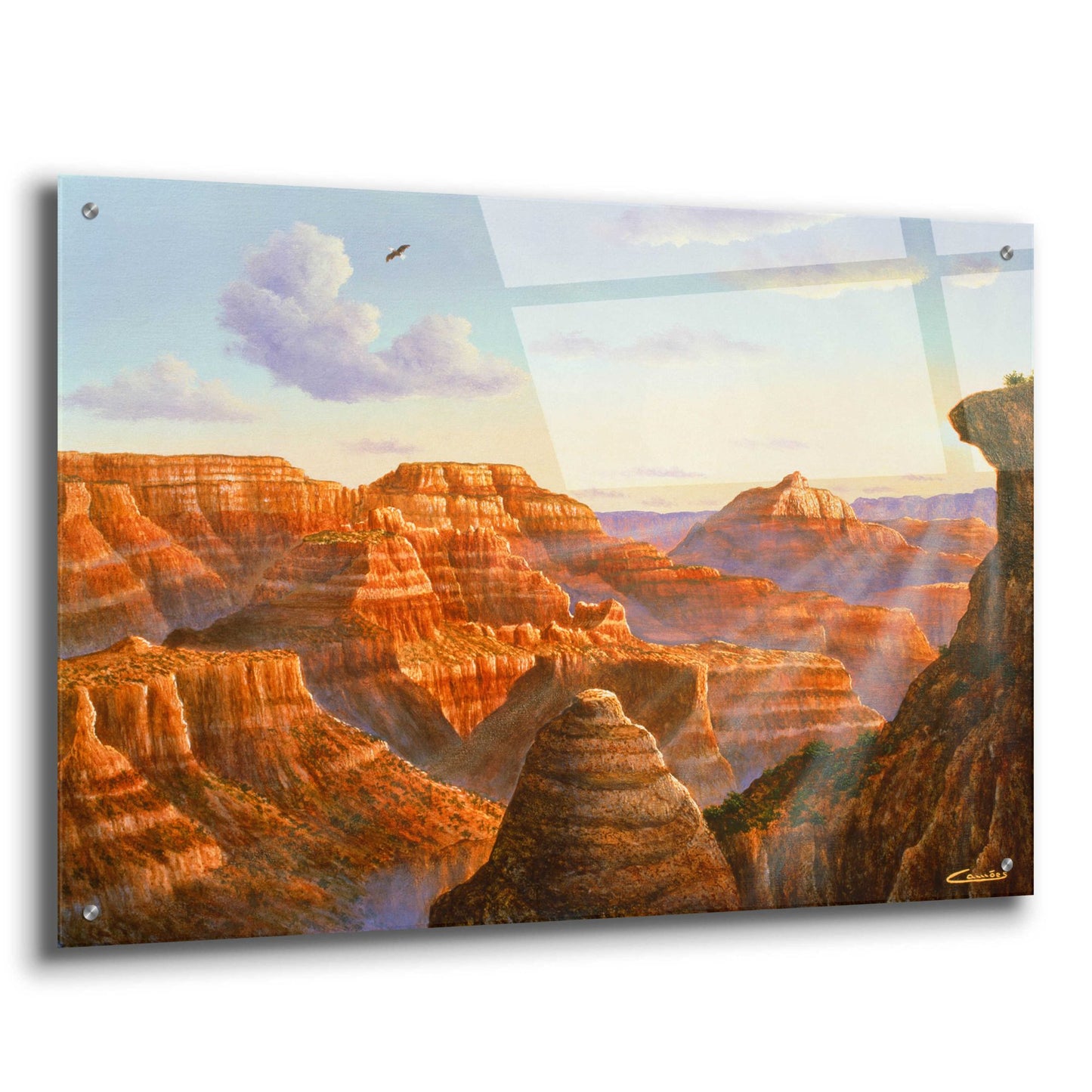 Epic Art 'Grand Canyon' by Eduardo Camoes, Acrylic Glass Wall Art,36x24