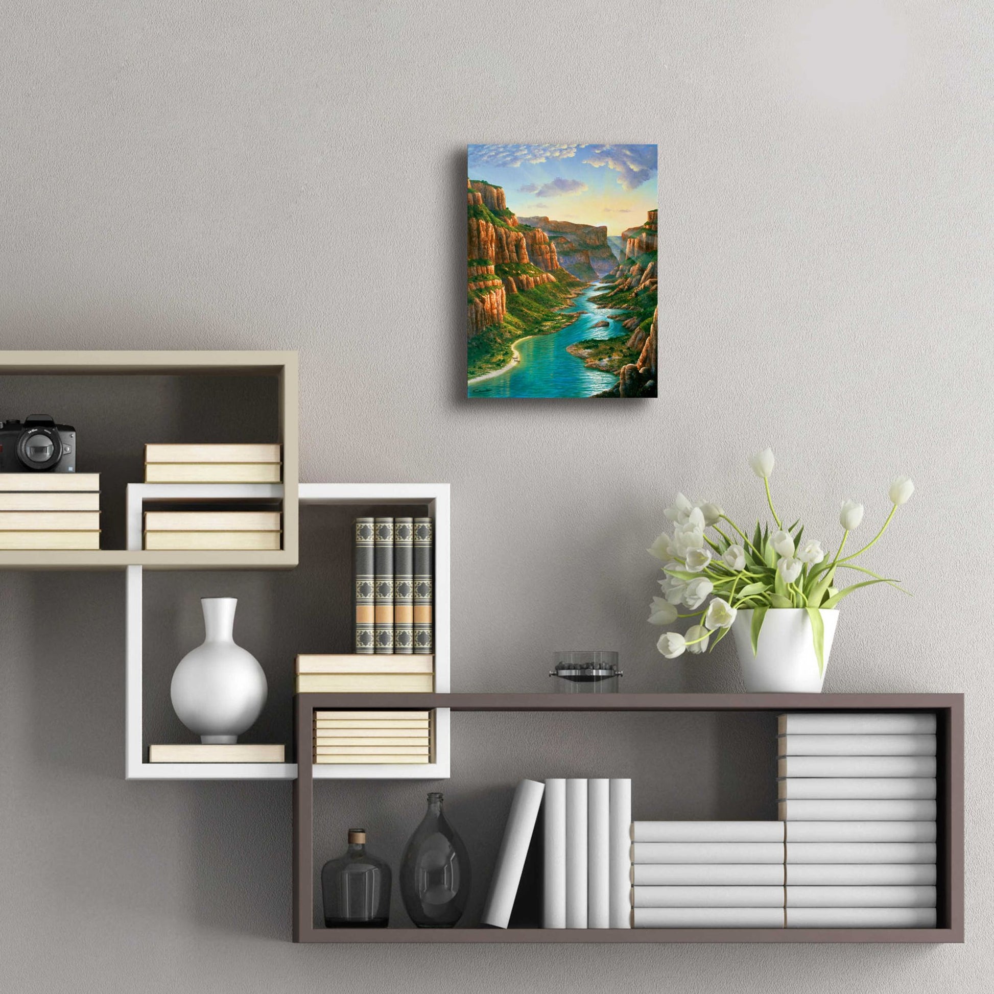 Epic Art 'Colorado River, Grand Canyon' by Eduardo Camoes, Acrylic Glass Wall Art,12x16