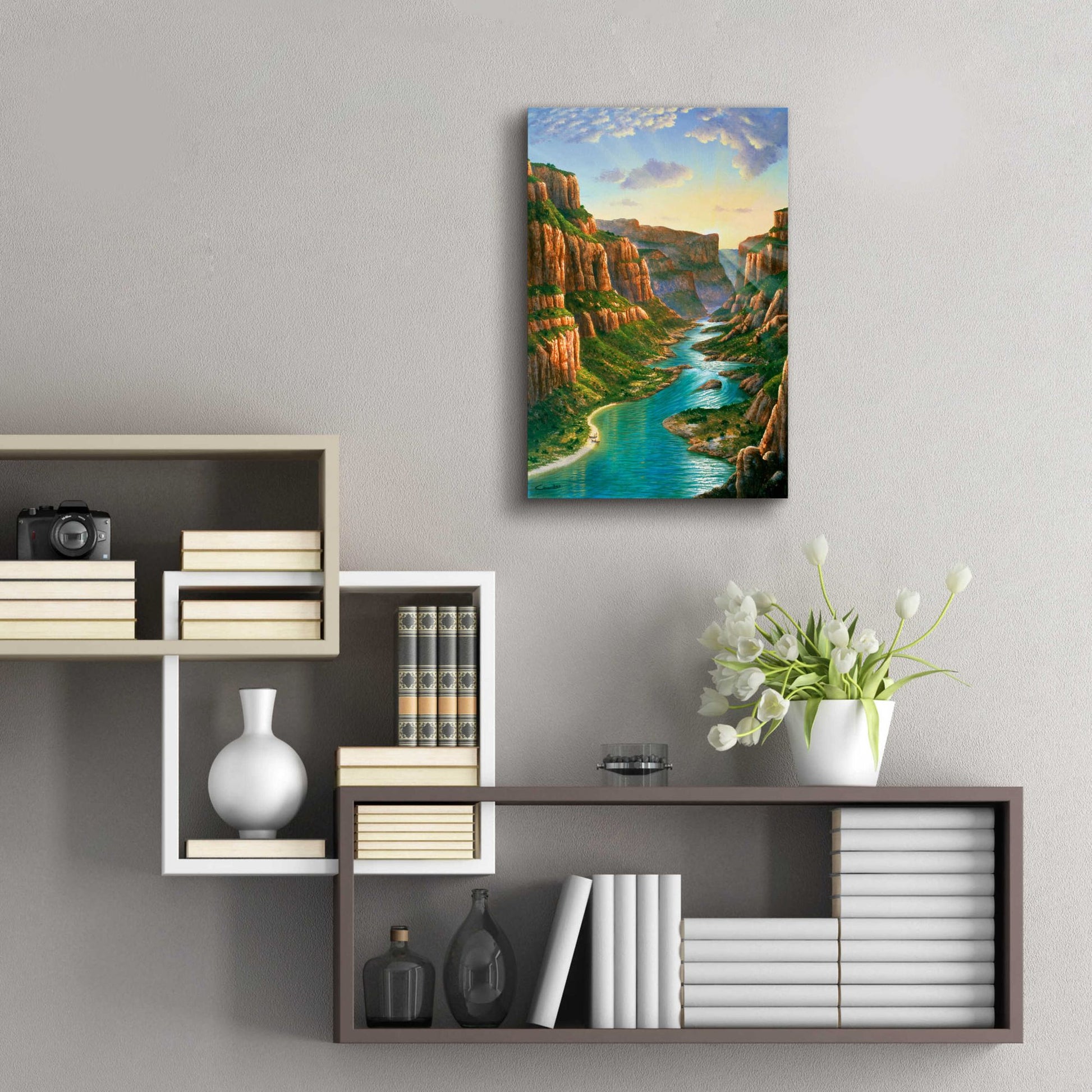 Epic Art 'Colorado River, Grand Canyon' by Eduardo Camoes, Acrylic Glass Wall Art,16x24