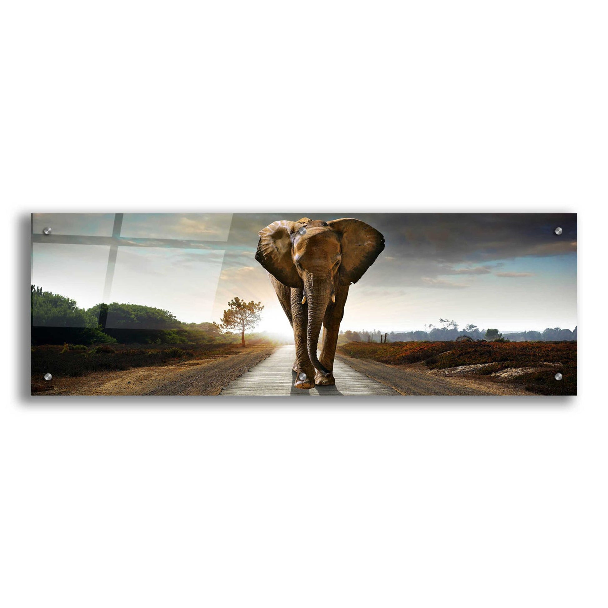 Epic Art 'Bigger Than Life' by Epic Portfolio, Acrylic Glass Wall Art,36x12