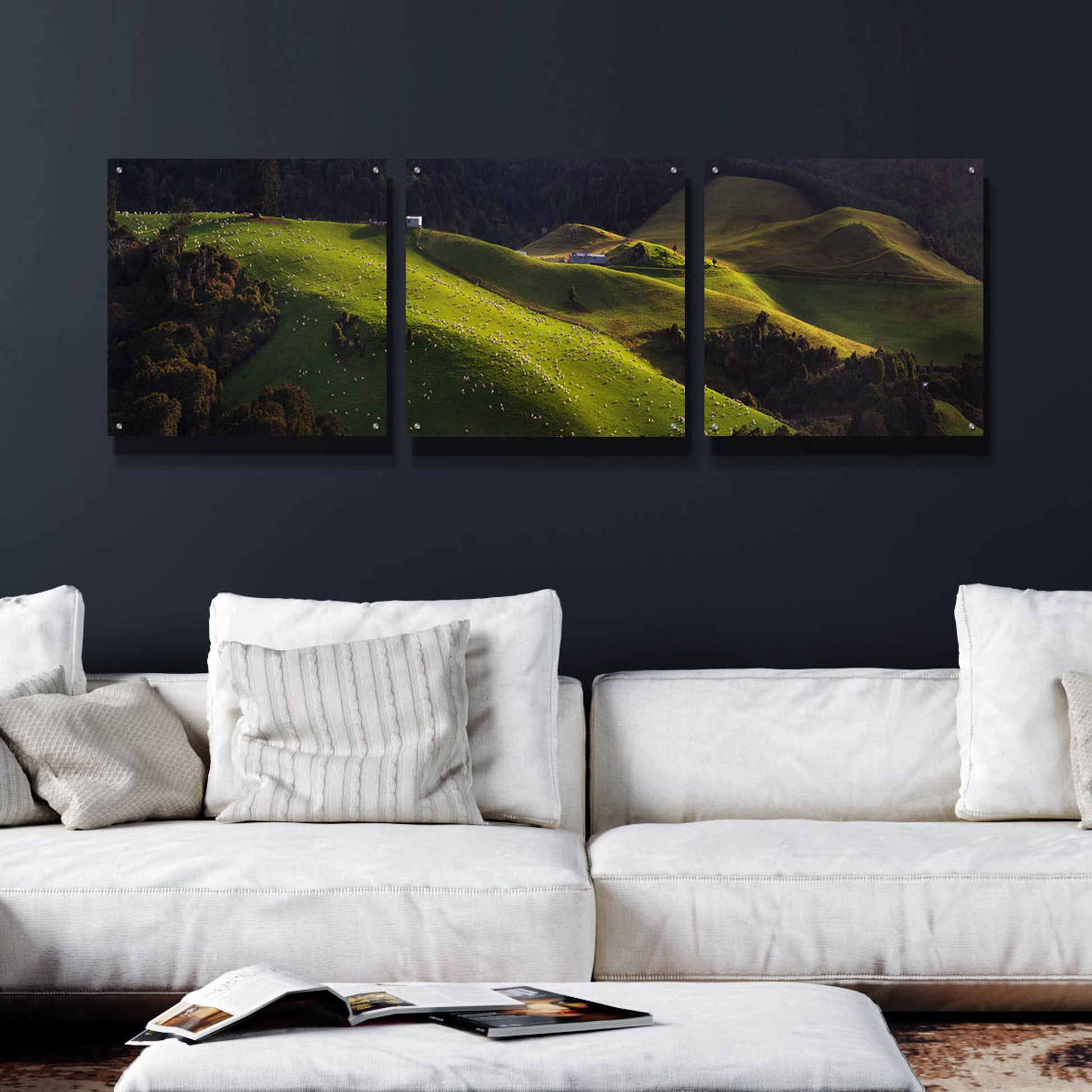 Epic Art 'Catlins' by Everlook Photography, Acrylic Glass Wall Art, 3 Piece Set,72x24