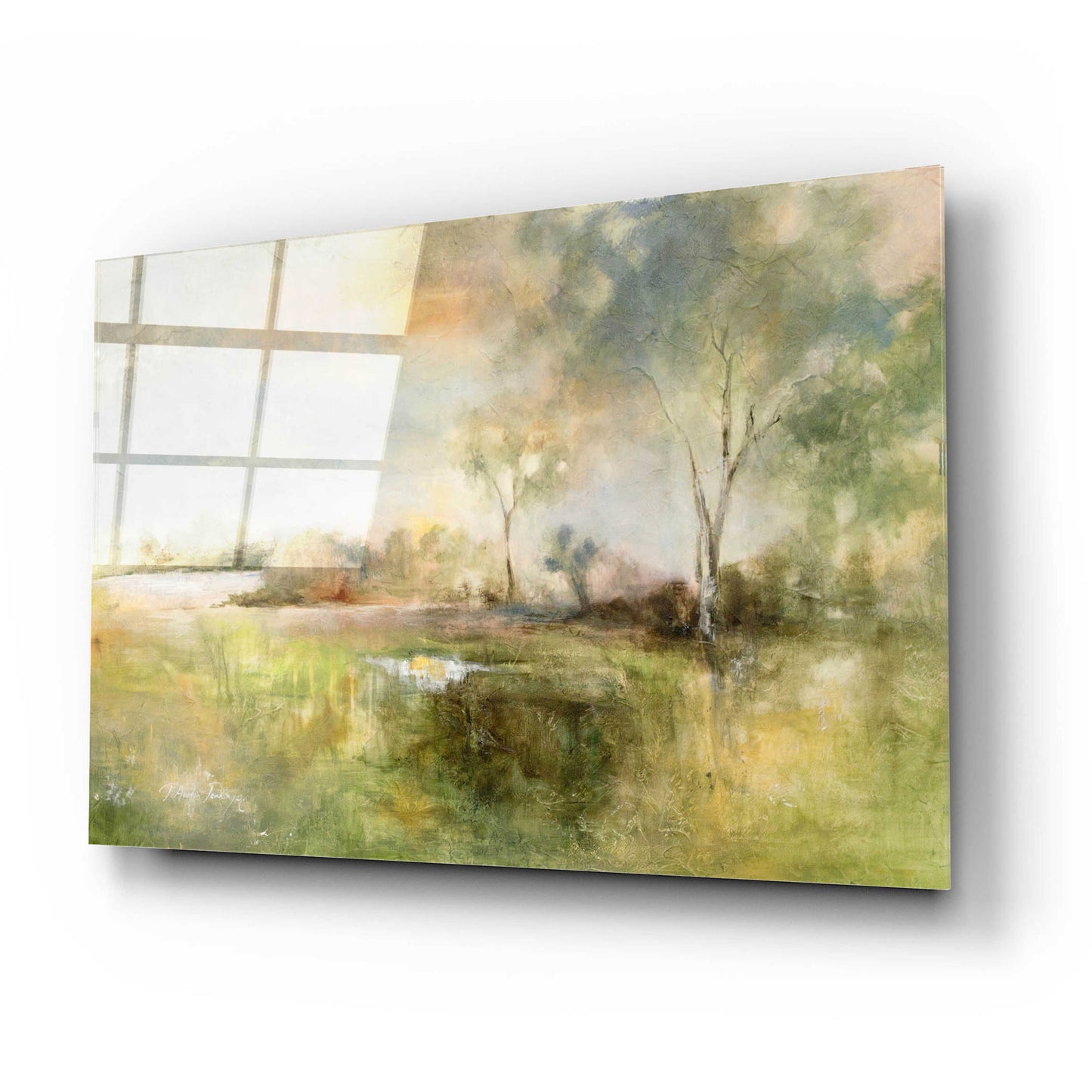 Epic Art 'Reflection of June' by J Austin Jennings, Acrylic Glass Wall Art,24x16