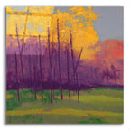 Epic Art 'Bright View No. 3' by Mike Kelly, Acrylic Glass Wall Art