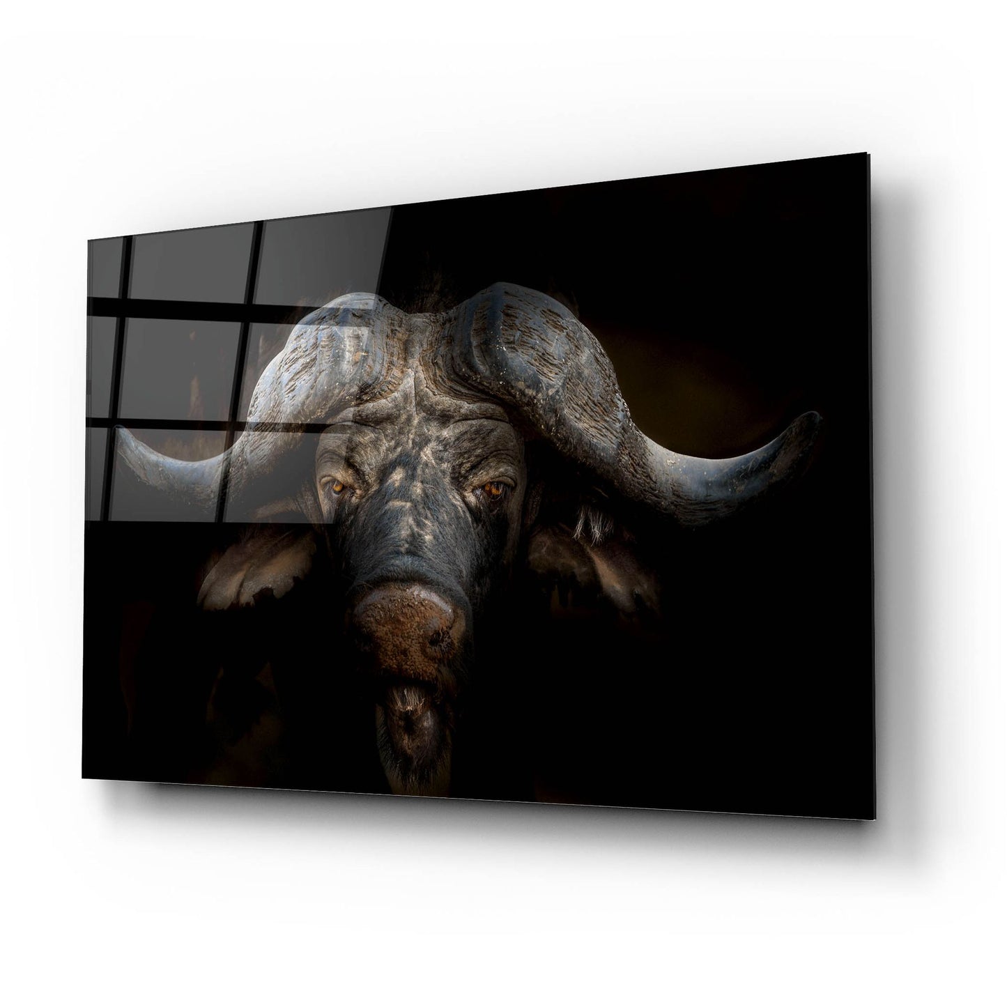 Epic Art 'Knowledge' by Epic Portfolio, Acrylic Glass Wall Art,24x16