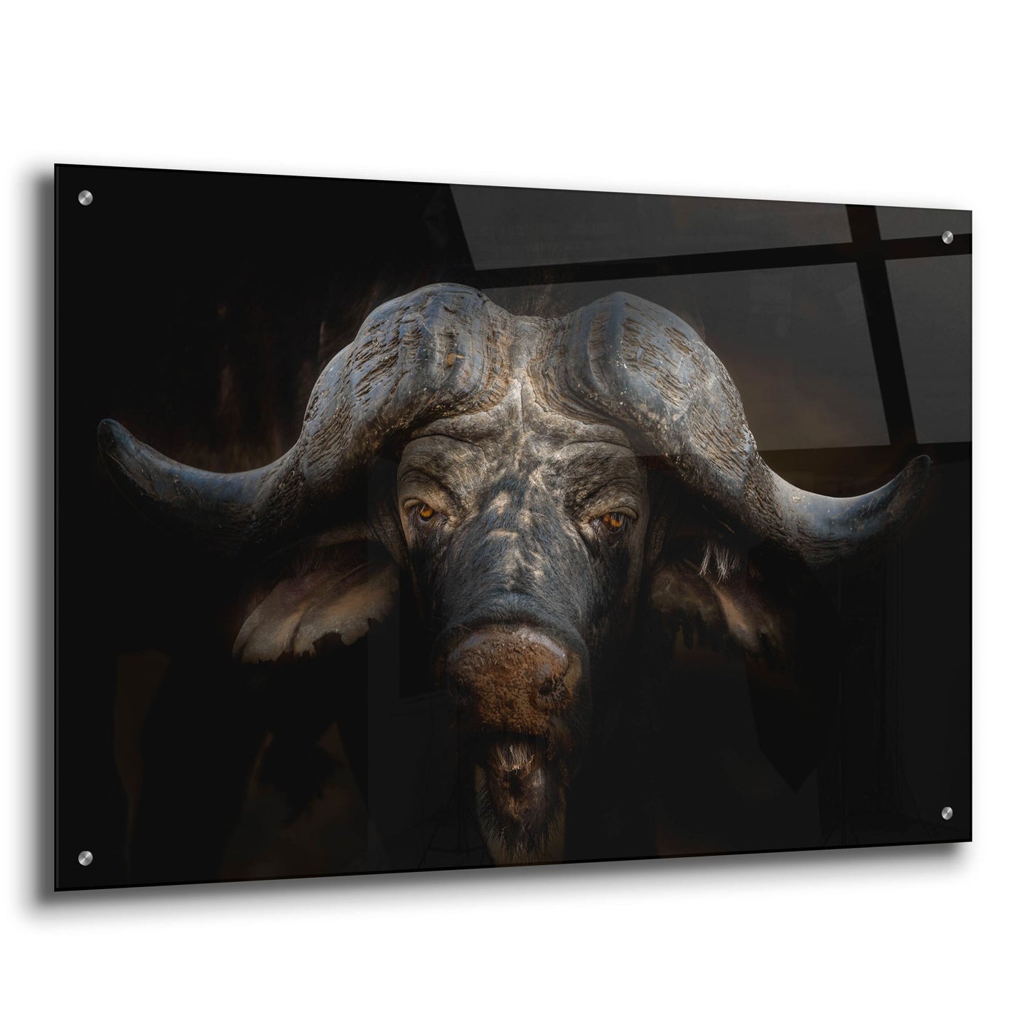 Epic Art 'Knowledge' by Epic Portfolio, Acrylic Glass Wall Art,36x24