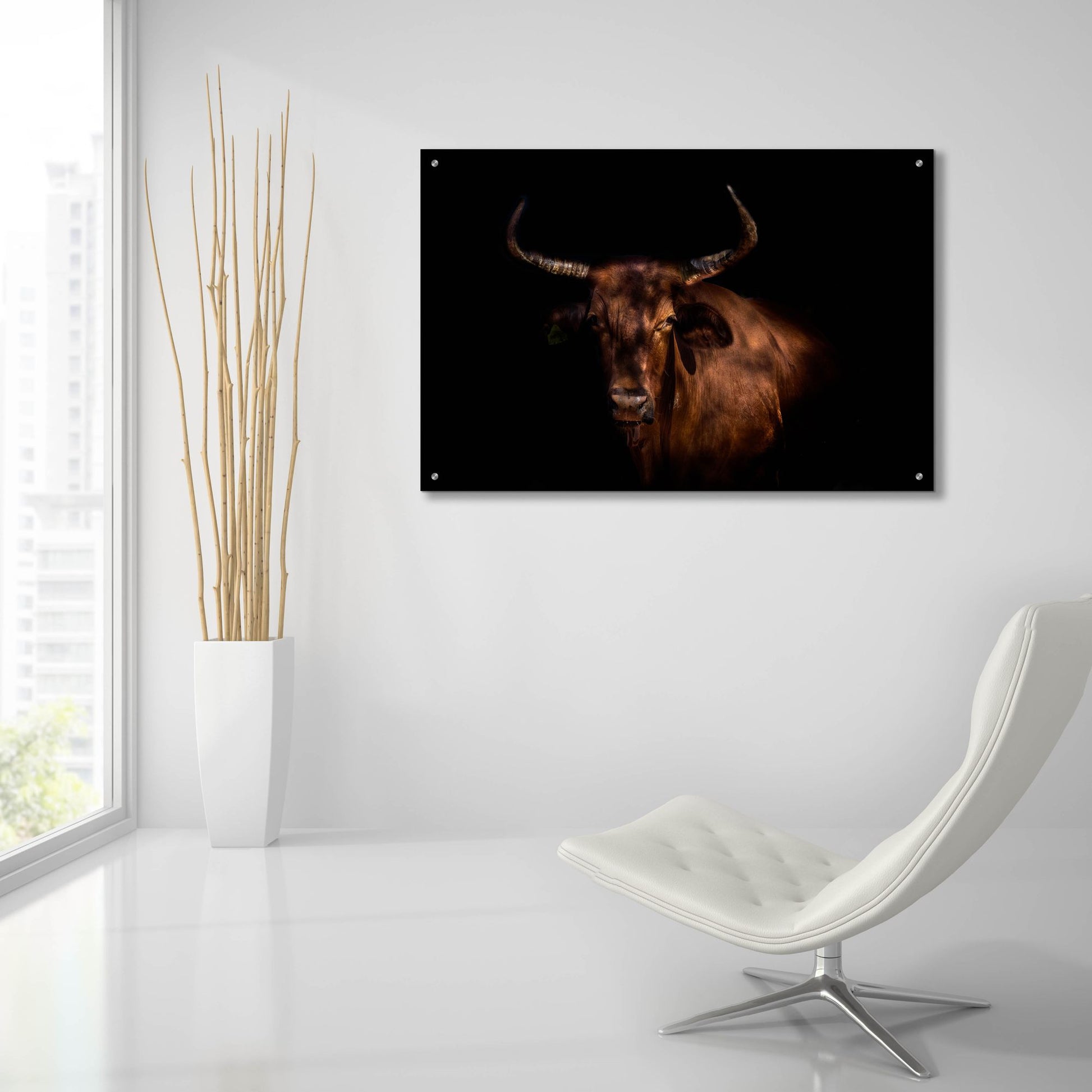 Epic Art 'Thoughtful Cow' by Epic Portfolio, Acrylic Glass Wall Art,36x24