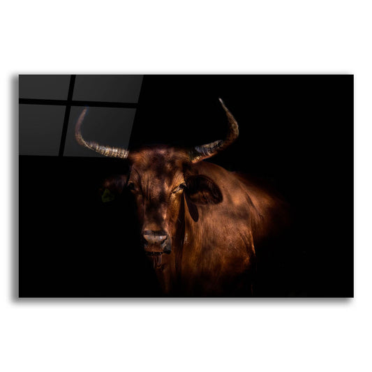 Epic Art 'Thoughtful Cow' by Epic Portfolio, Acrylic Glass Wall Art