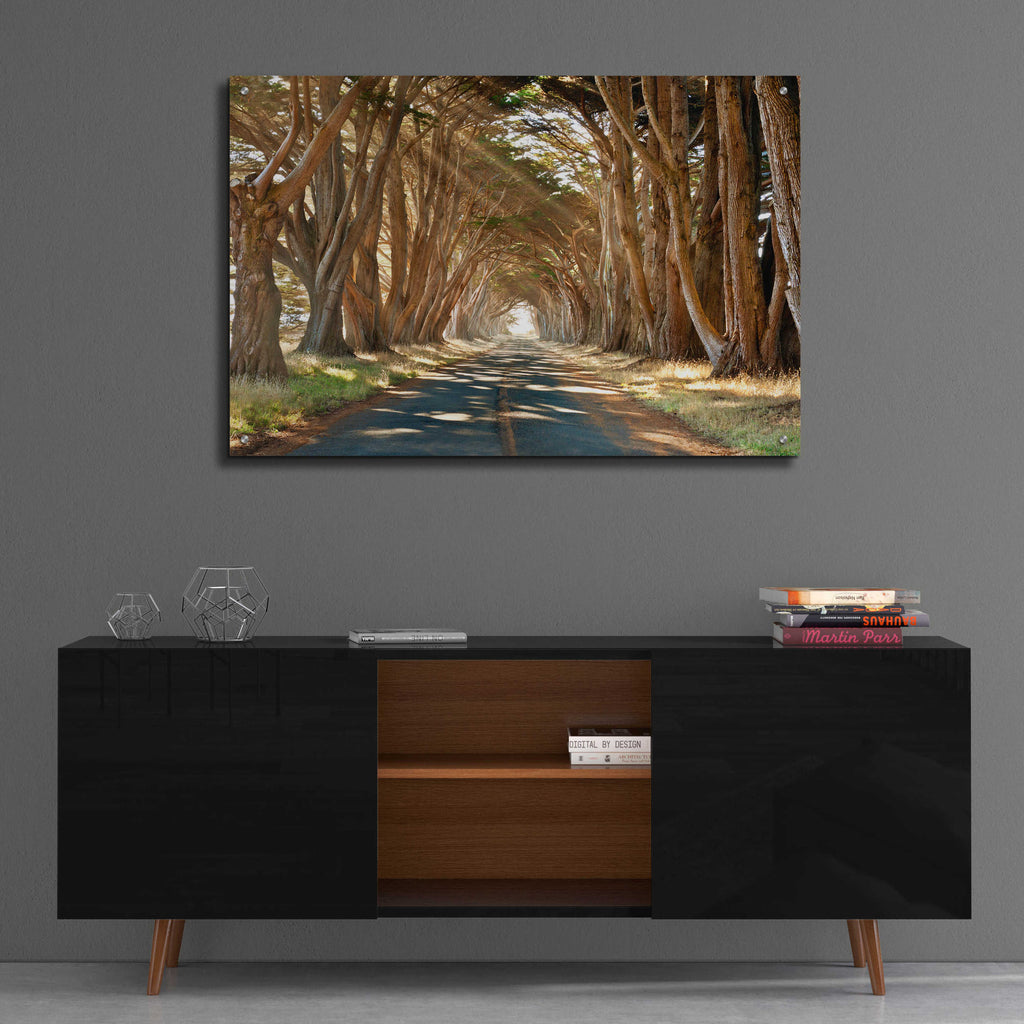 Epic Art 'Cypresses' by Alan Klug, Acrylic Glass Wall Art,36x24
