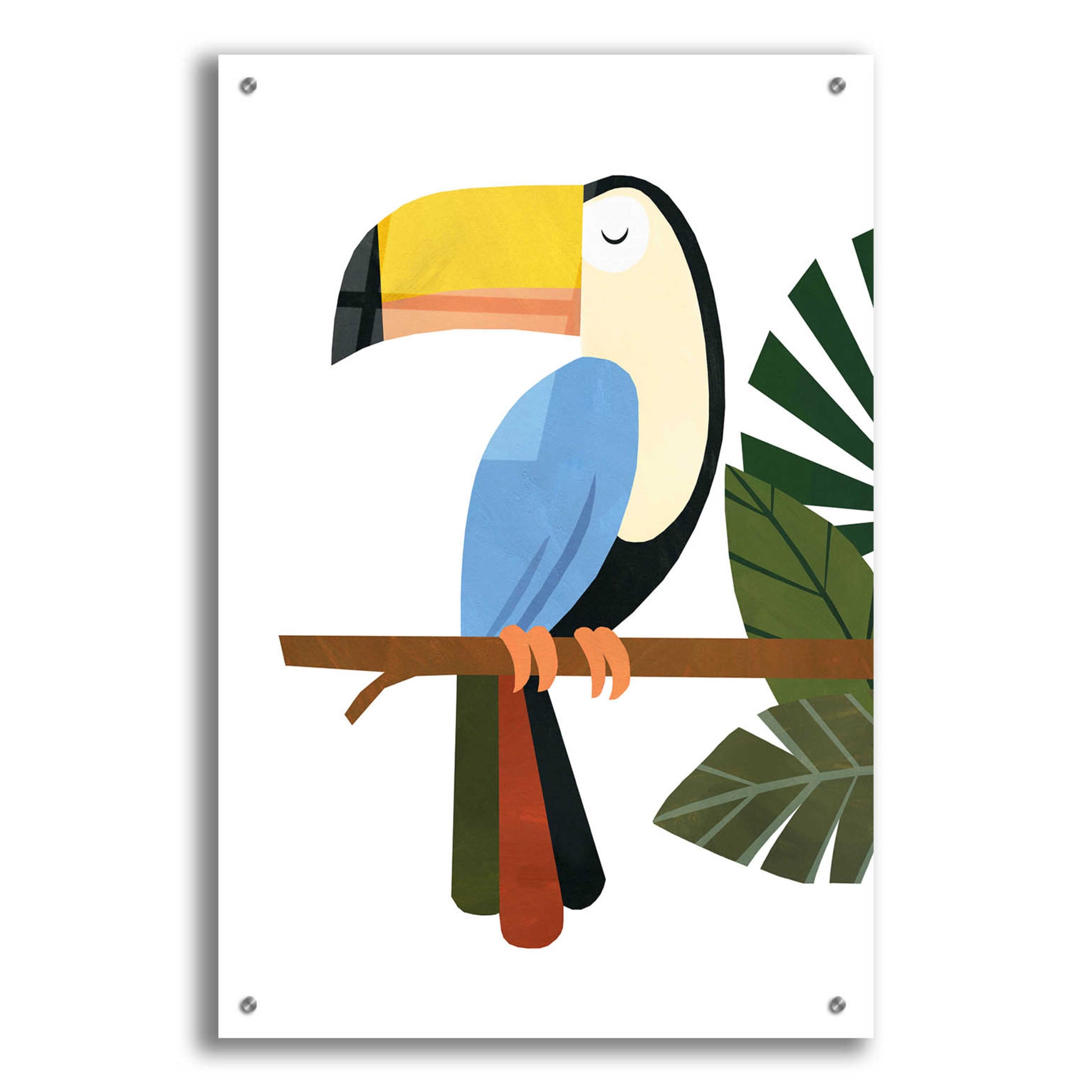 Epic Art 'Tucker The Toucan' by Emily Kopcik, Acrylic Glass Wall Art,24x36