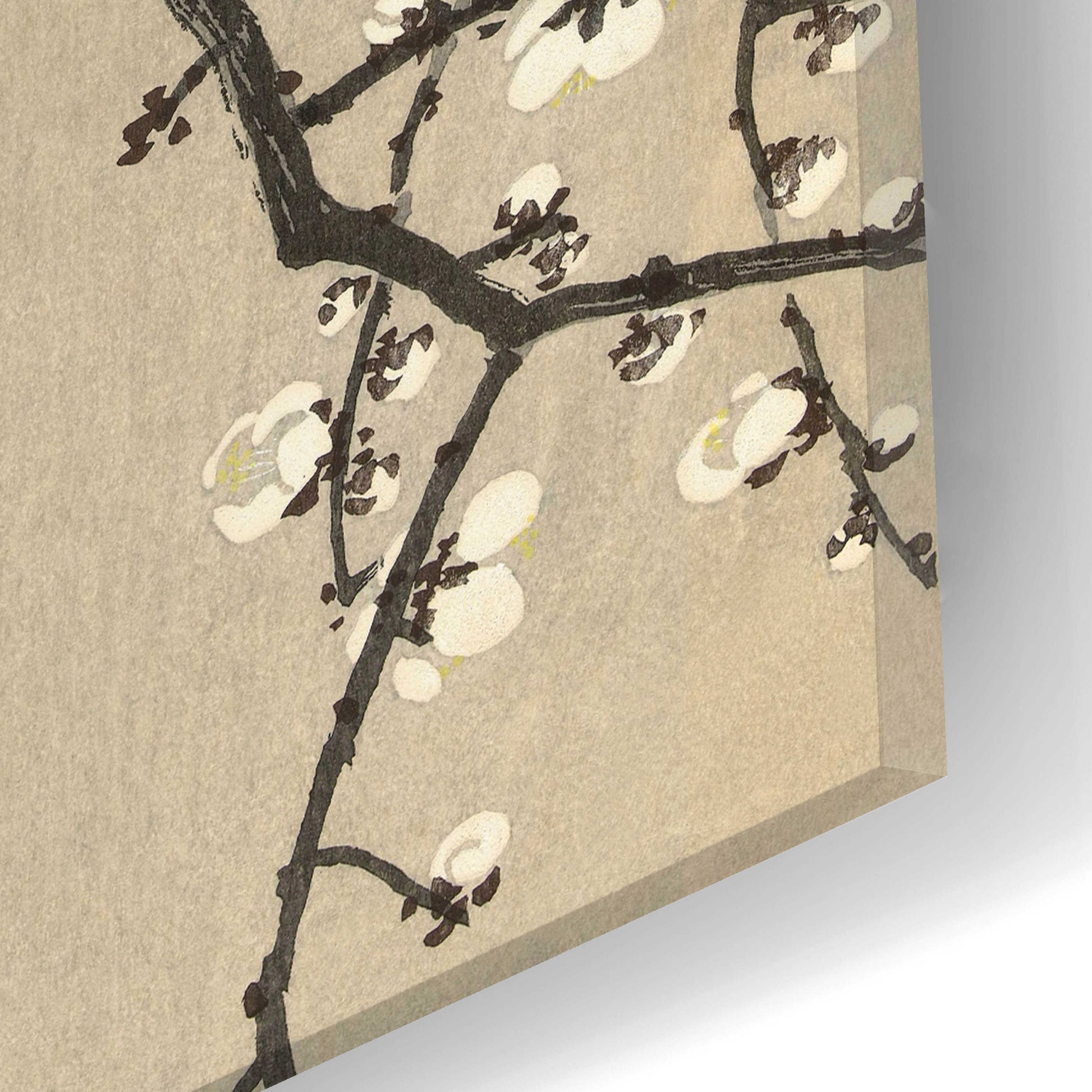 Epic Art 'Chinese Wielewaal on Plum Blossom Branch 1900-1910' by Ohara Koson, Acrylic Glass Wall Art,12x24