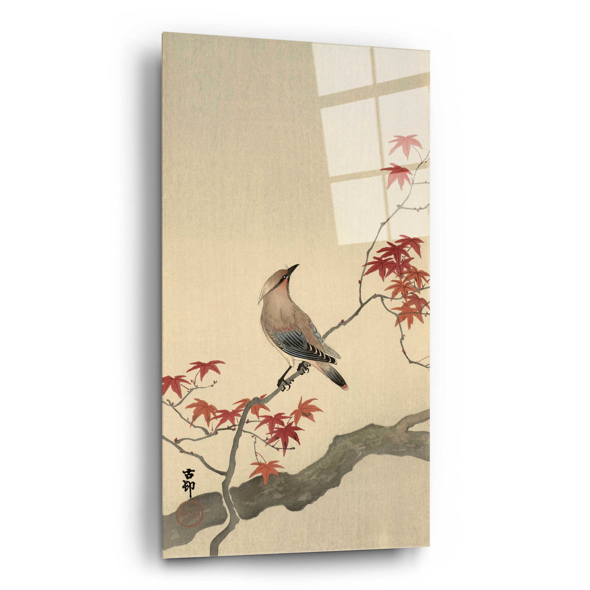 Epic Art 'Japanese Waxwing on Maple 1900-1936' by Ohara Koson, Acrylic Glass Wall Art,12x24