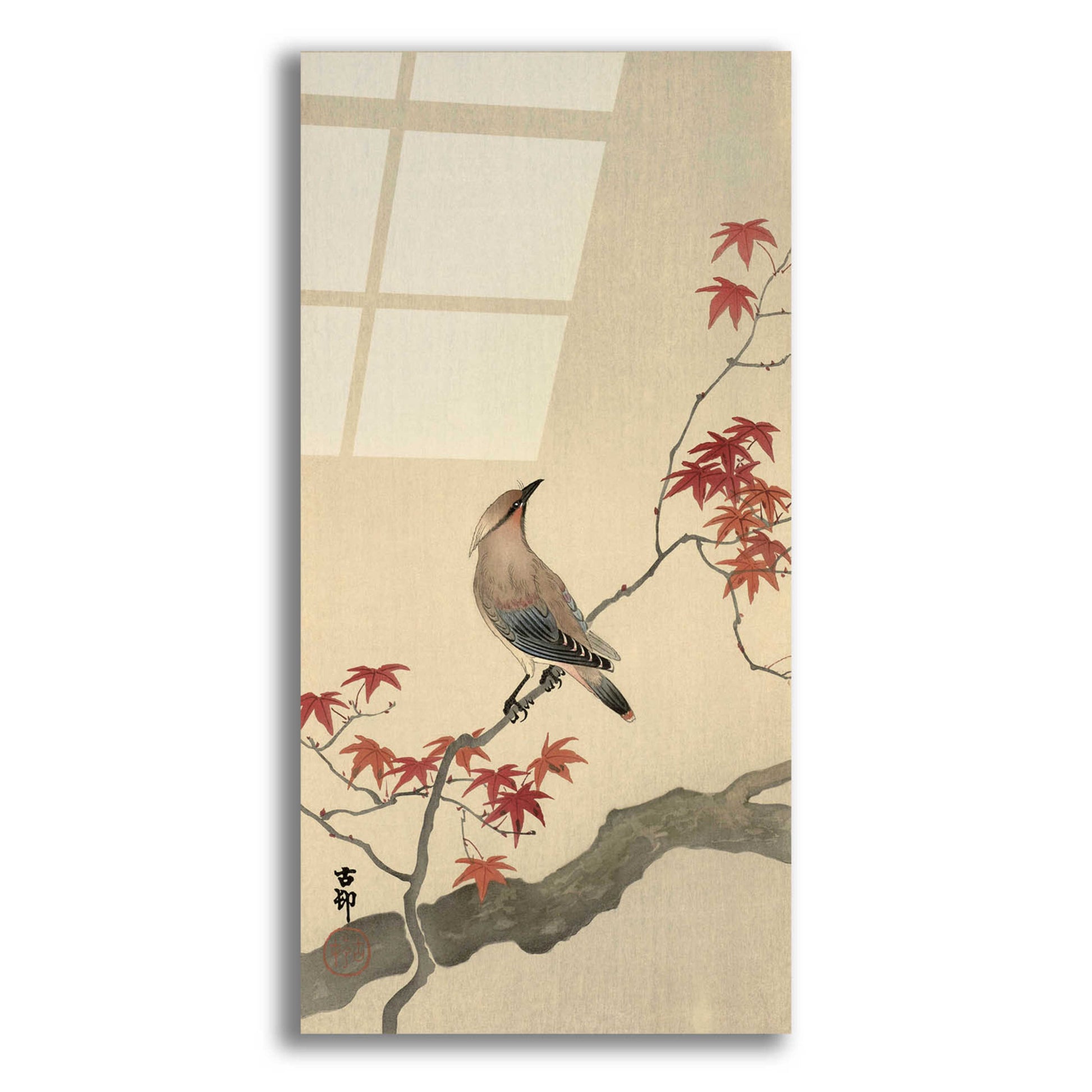 Epic Art 'Japanese Waxwing on Maple 1900-1936' by Ohara Koson, Acrylic Glass Wall Art,12x24