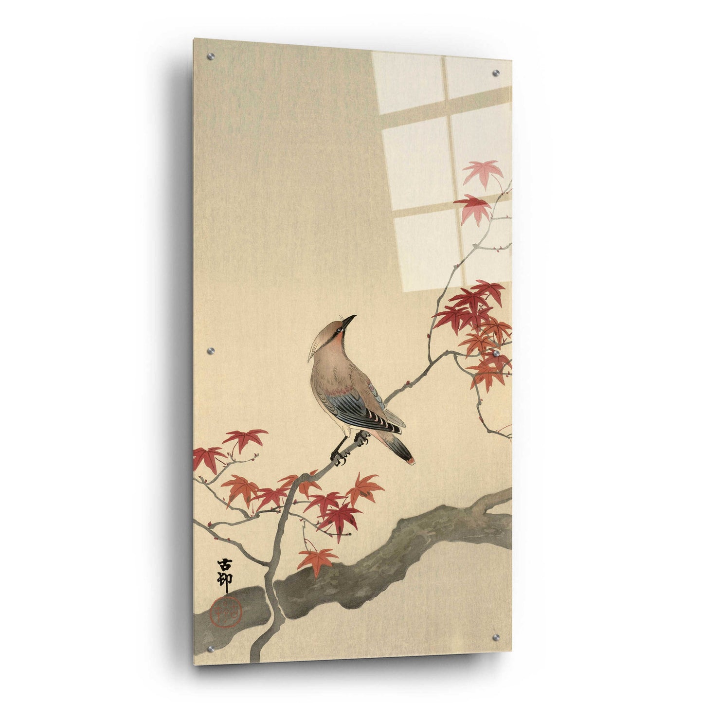 Epic Art 'Japanese Waxwing on Maple 1900-1936' by Ohara Koson, Acrylic Glass Wall Art,24x48