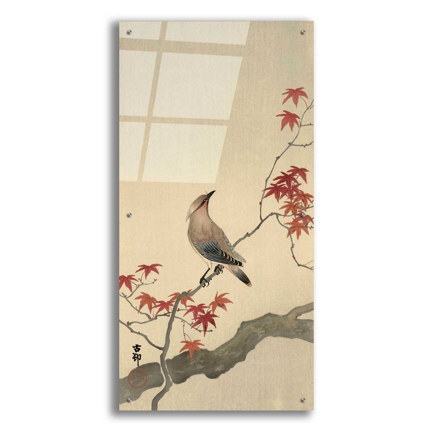 Epic Art 'Japanese Waxwing on Maple 1900-1936' by Ohara Koson, Acrylic Glass Wall Art,24x48