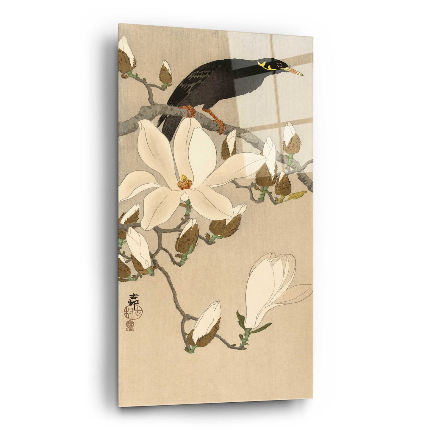 Epic Art 'Myna on Magnolia Branch 1900-1910' by Ohara Koson, Acrylic Glass Wall Art,12x24