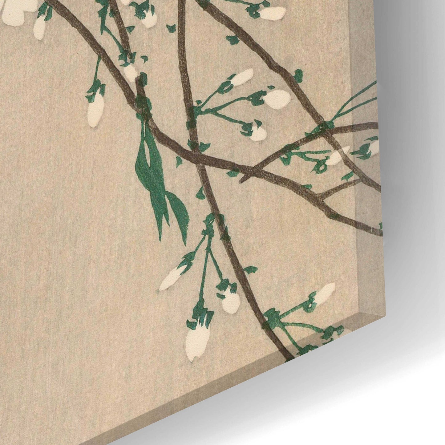 Epic Art 'Songbirds on Cherry Branch 1900-1910' by Ohara Koson, Acrylic Glass Wall Art,12x24