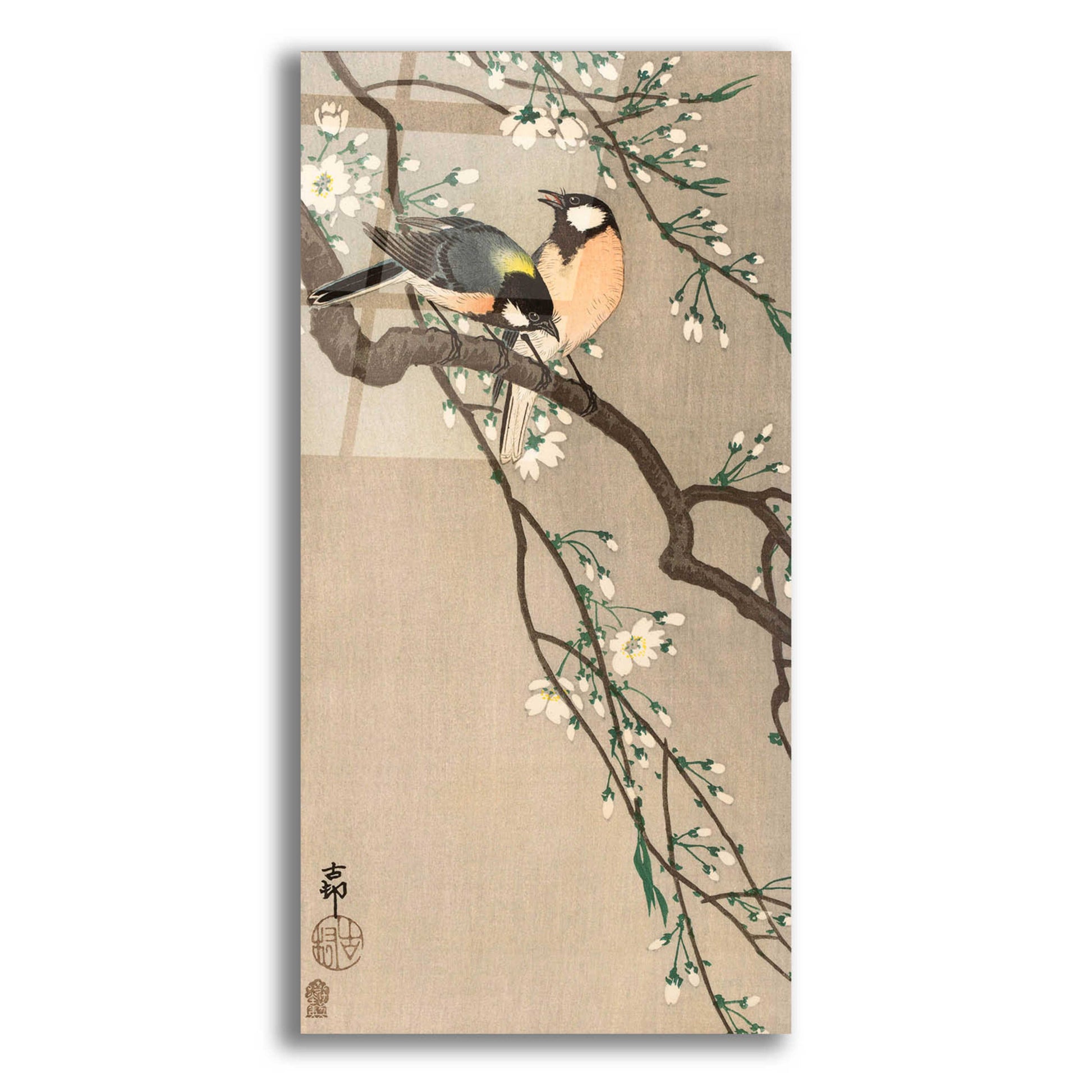 Epic Art 'Songbirds on Cherry Branch 1900-1910' by Ohara Koson, Acrylic Glass Wall Art,12x24