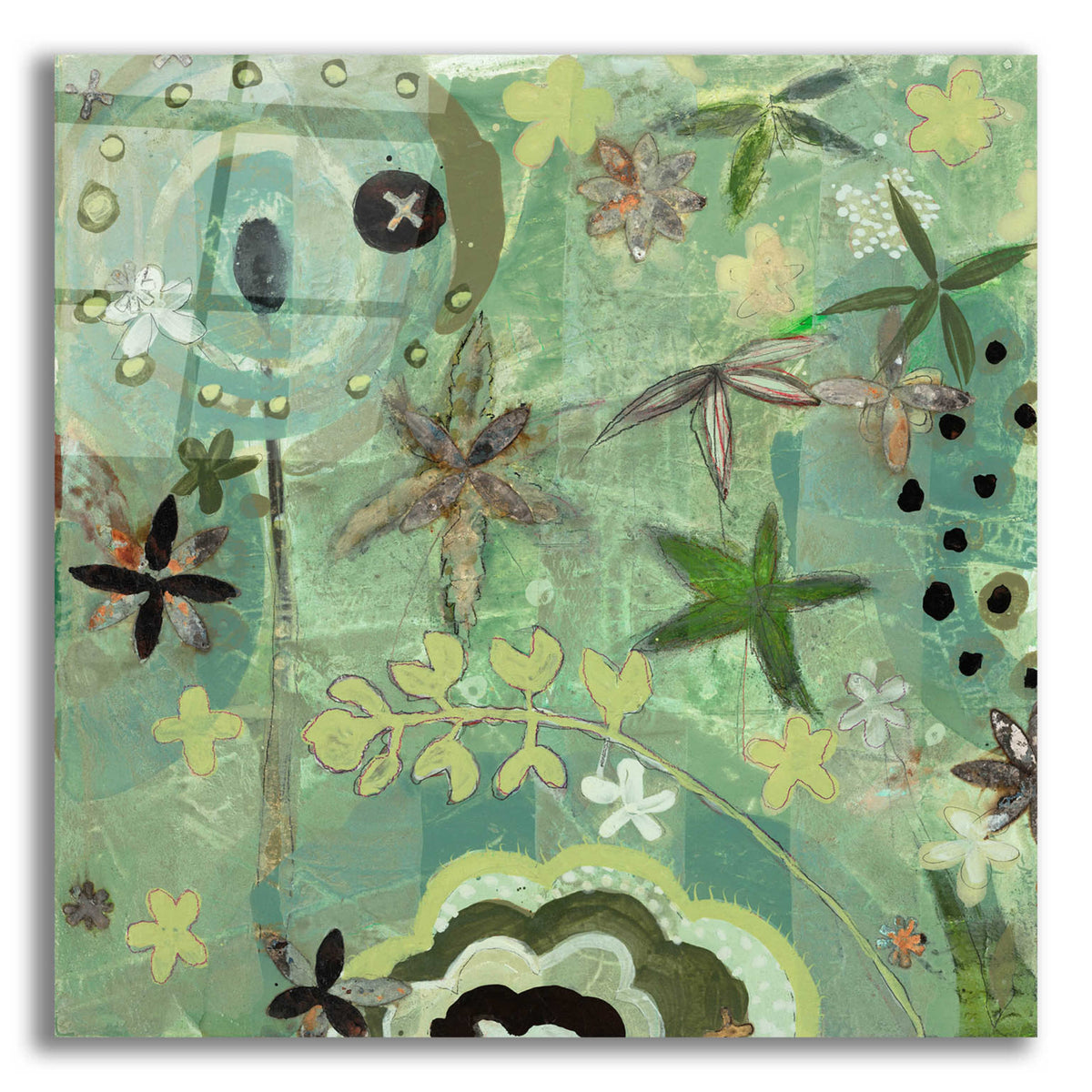 Epic Art 'Floral Fantasies 1' by Aleah Koury, Acrylic Glass Wall Art