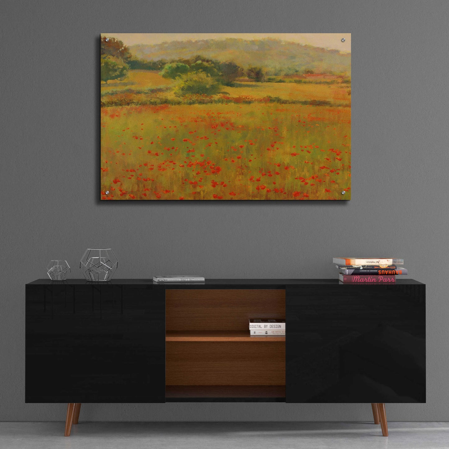 Epic Art 'Amapolas III' by Alex Hook Krioutchkov, Acrylic Glass Wall Art,36x24