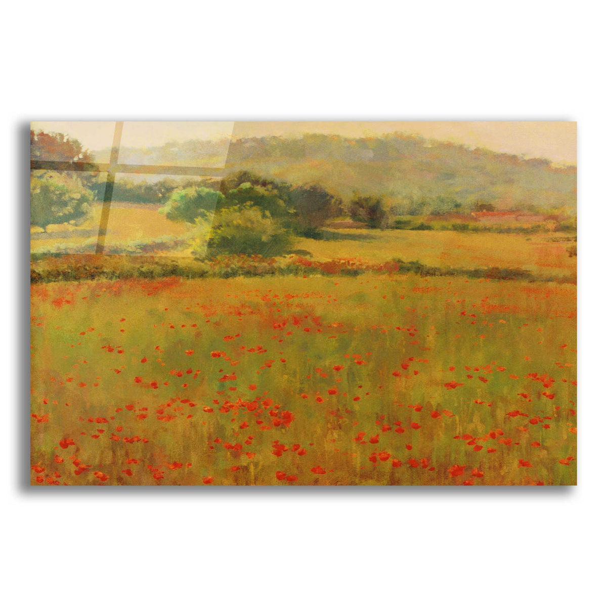 Epic Art 'Amapolas III' by Alex Hook Krioutchkov, Acrylic Glass Wall Art
